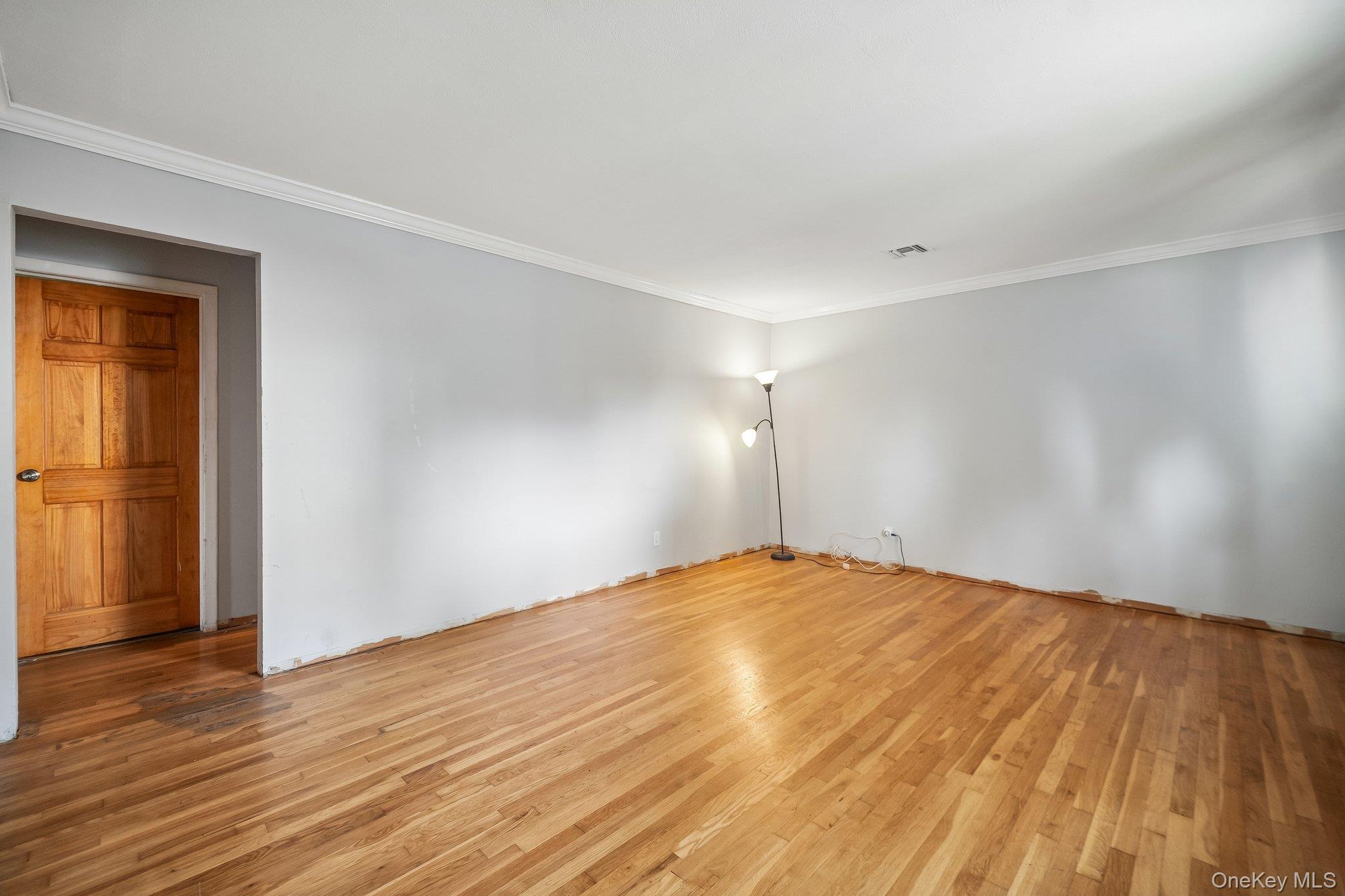 Single Family Frederick Avenue Nassau County, NY 11001, MLS-1035310-8