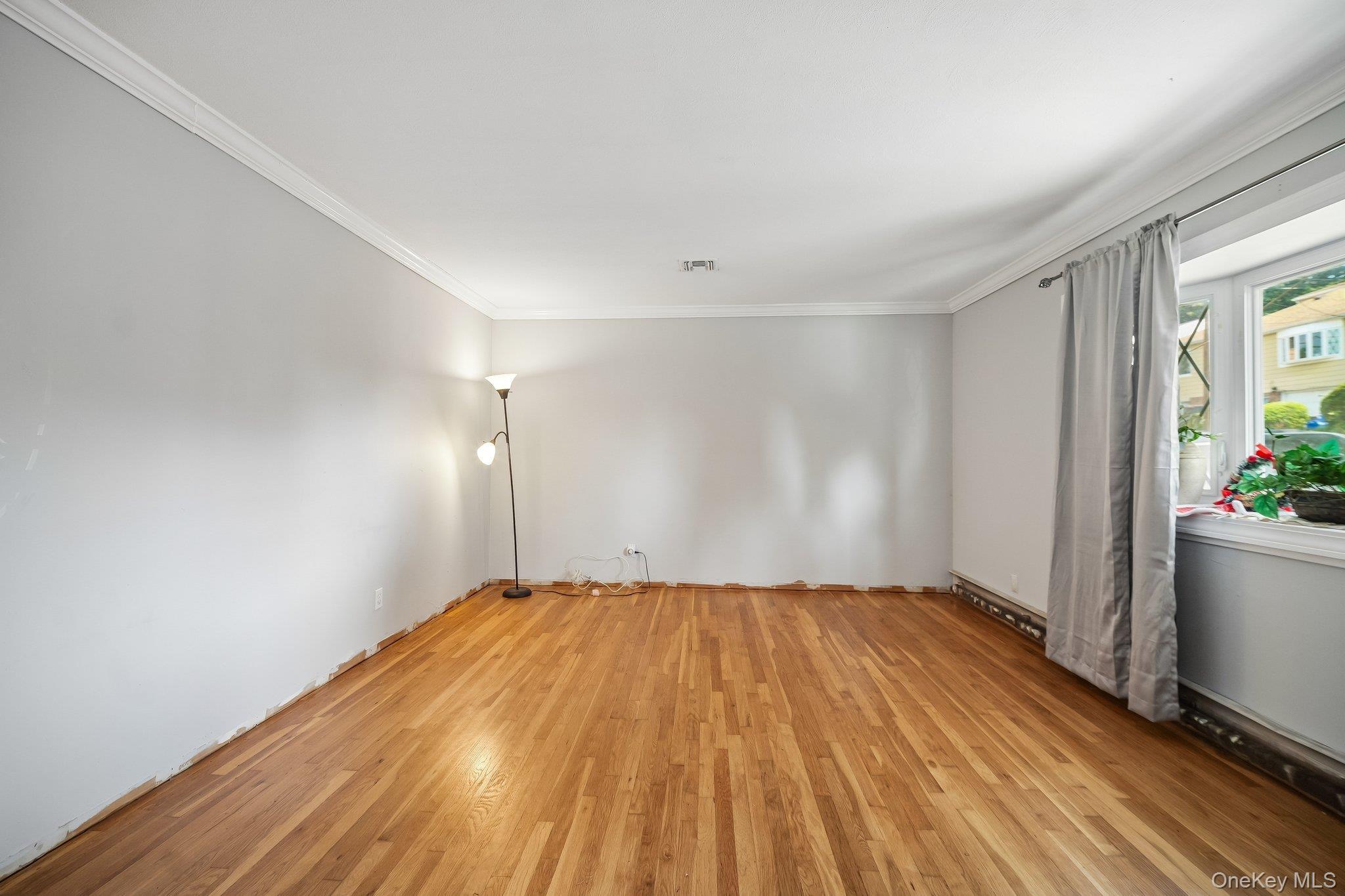 Single Family Frederick Avenue Nassau County, NY 11001, MLS-1035310-9