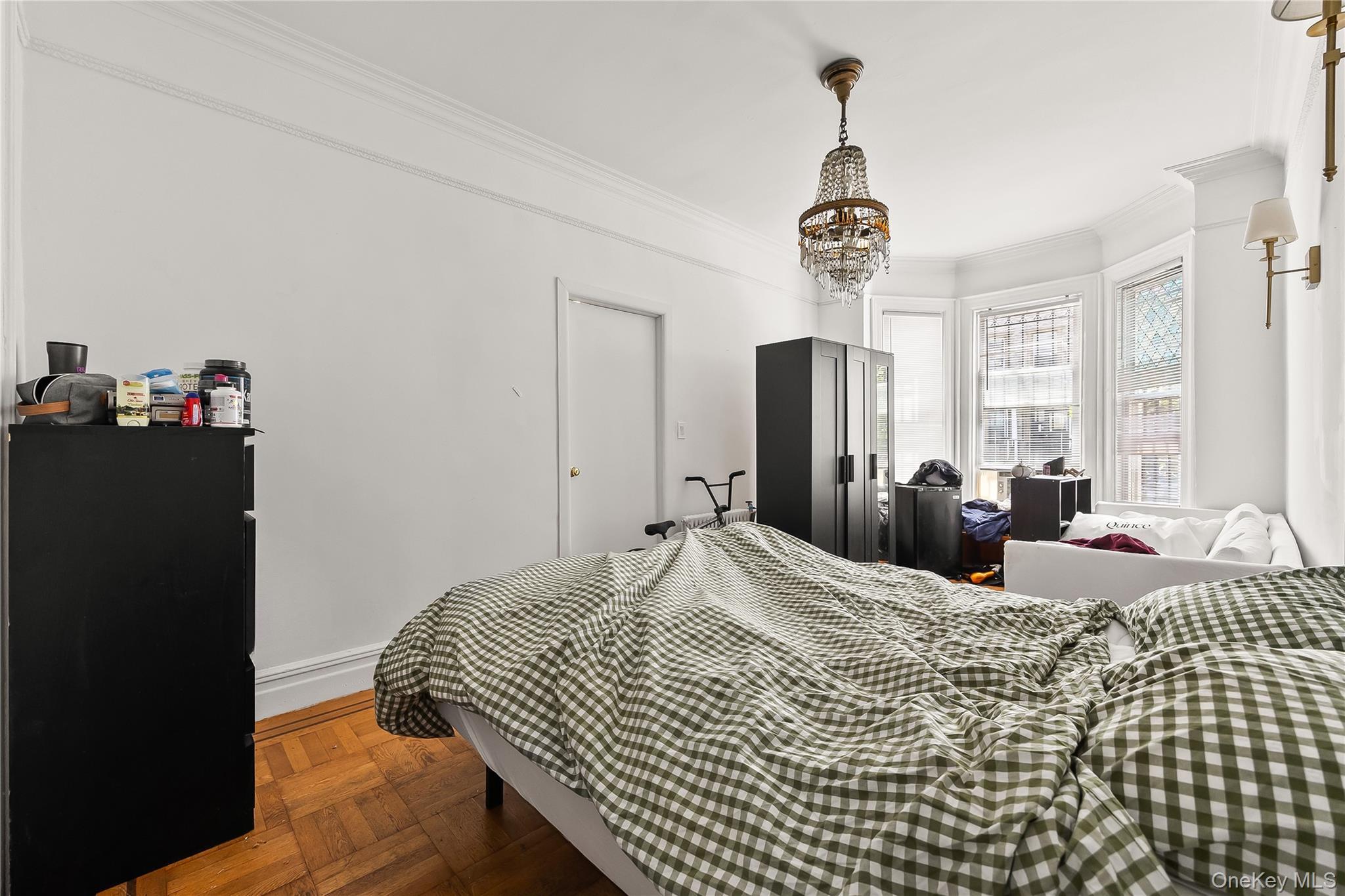 Single Family Hoffman Street Bronx, NY 10458, MLS-1035336-10