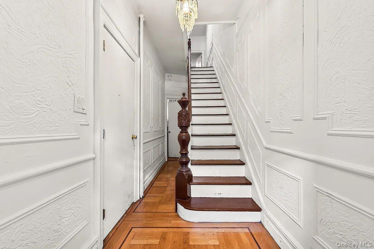 Single Family Hoffman Street Bronx, NY 10458, MLS-1035336-12