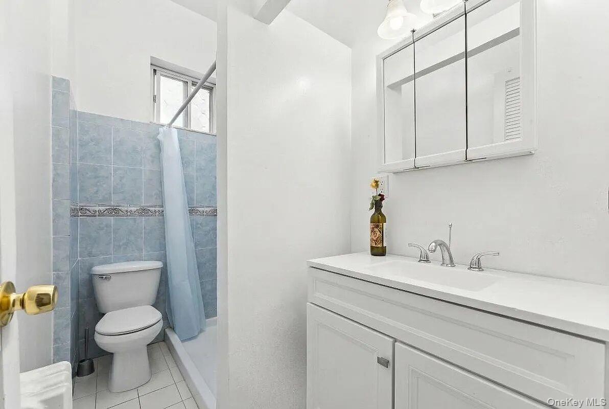 Single Family Hoffman Street Bronx, NY 10458, MLS-1035336-6