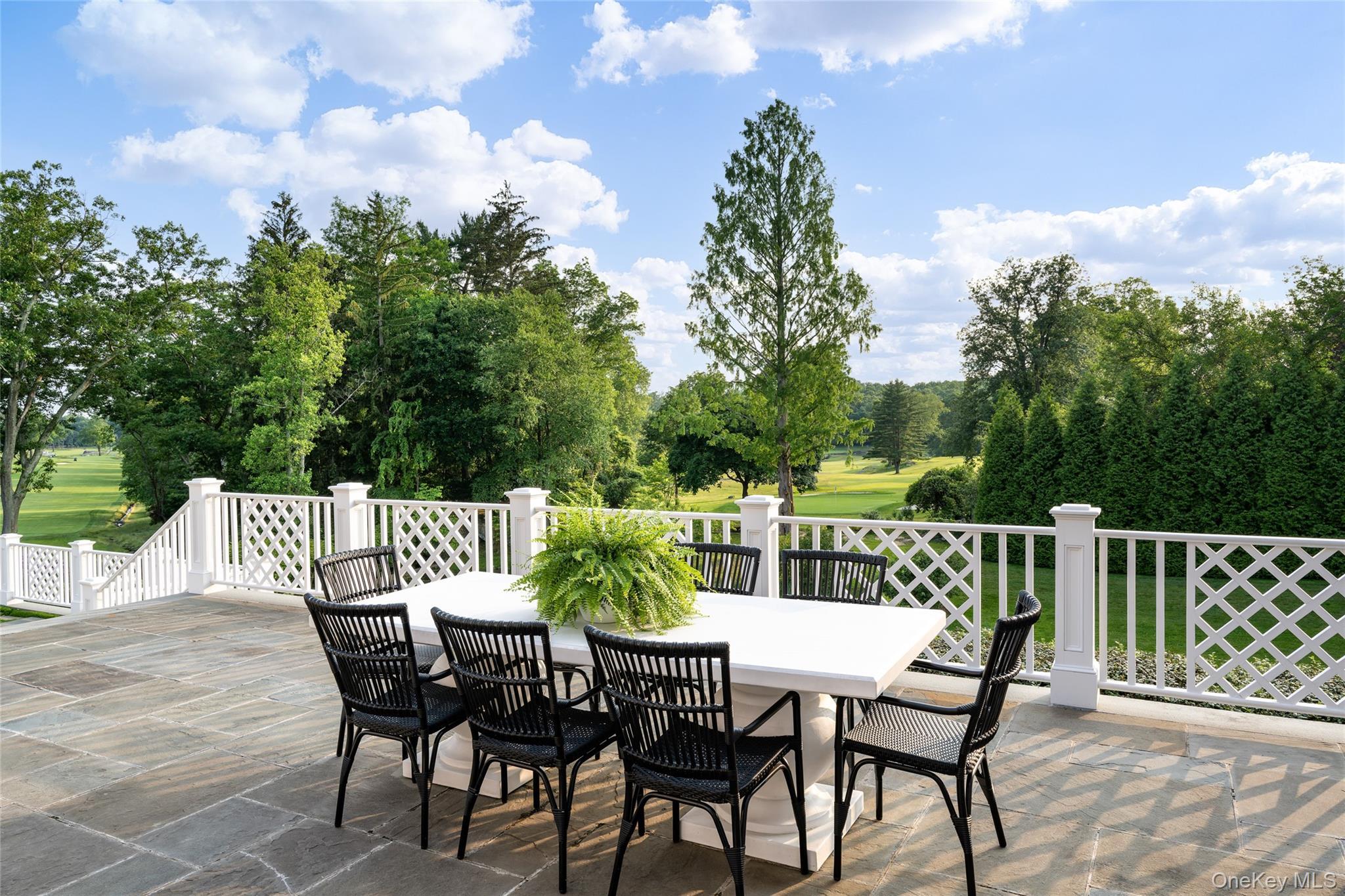 Single Family Hilltop Place Westchester County, NY 10580, MLS-1035345-12