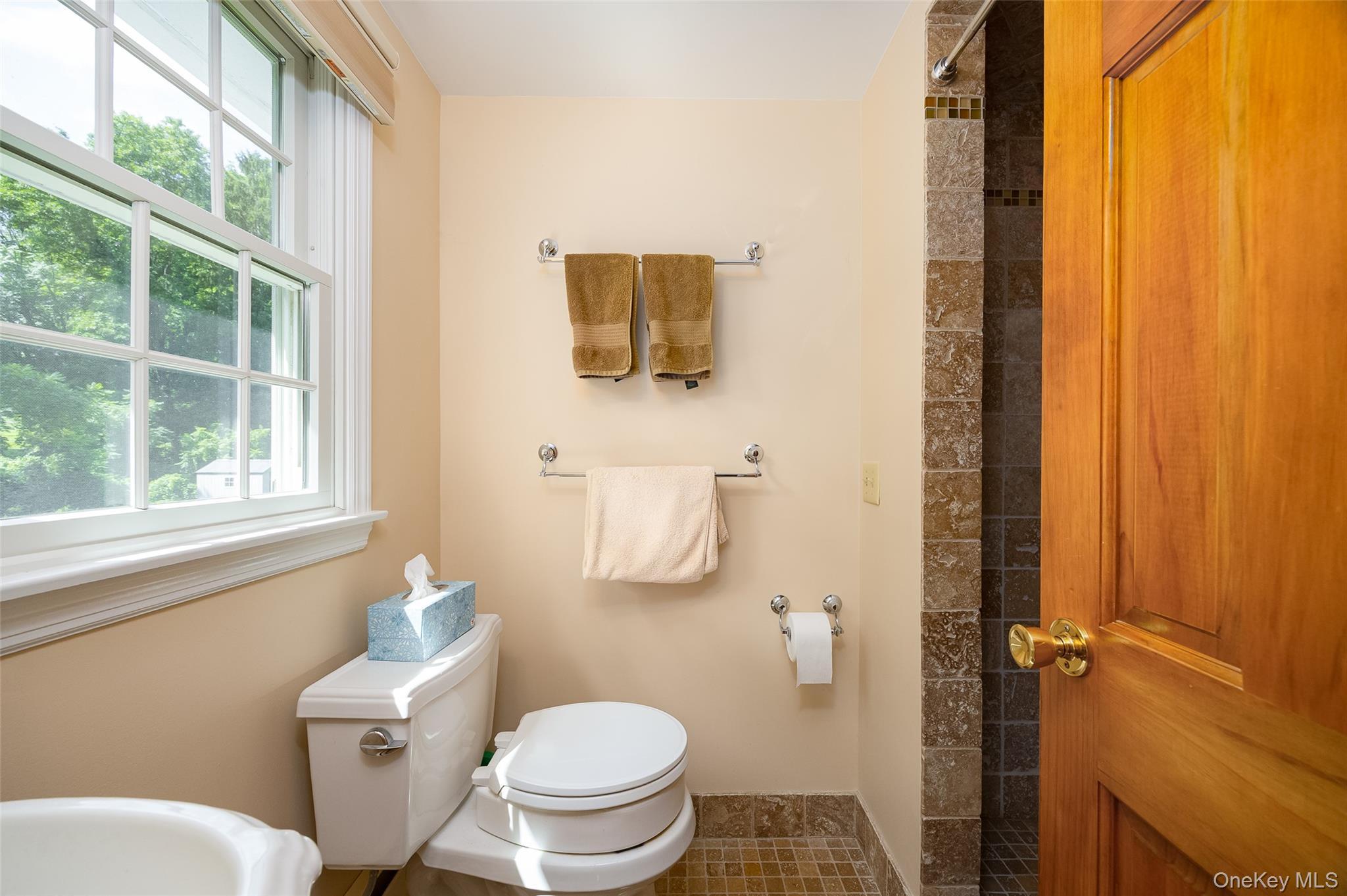 Single Family Fair Way Dutchess County, NY 12603, MLS-1035352-20