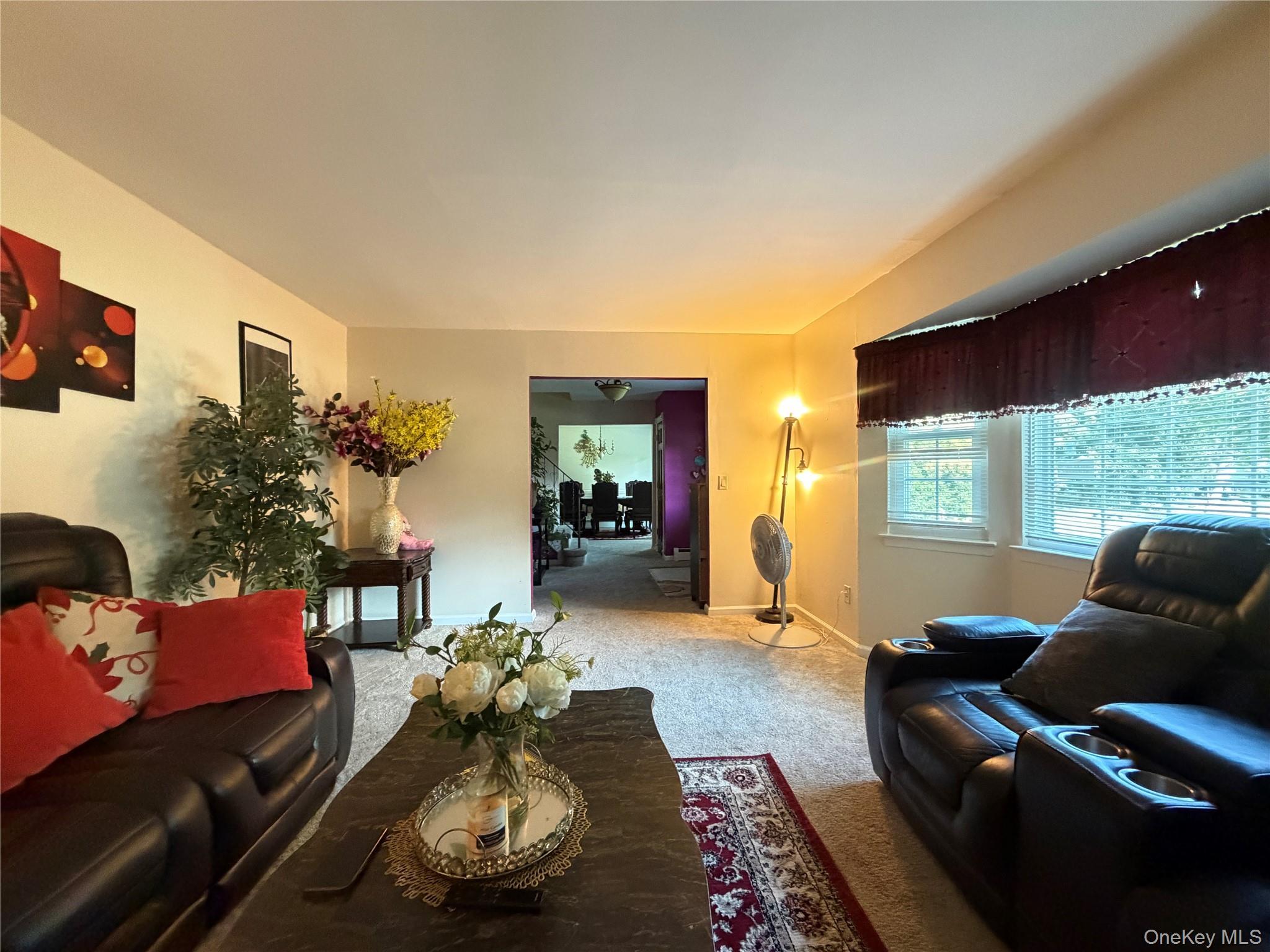 Single Family Estates Drive Suffolk County, NY 11776, MLS-1035458-15