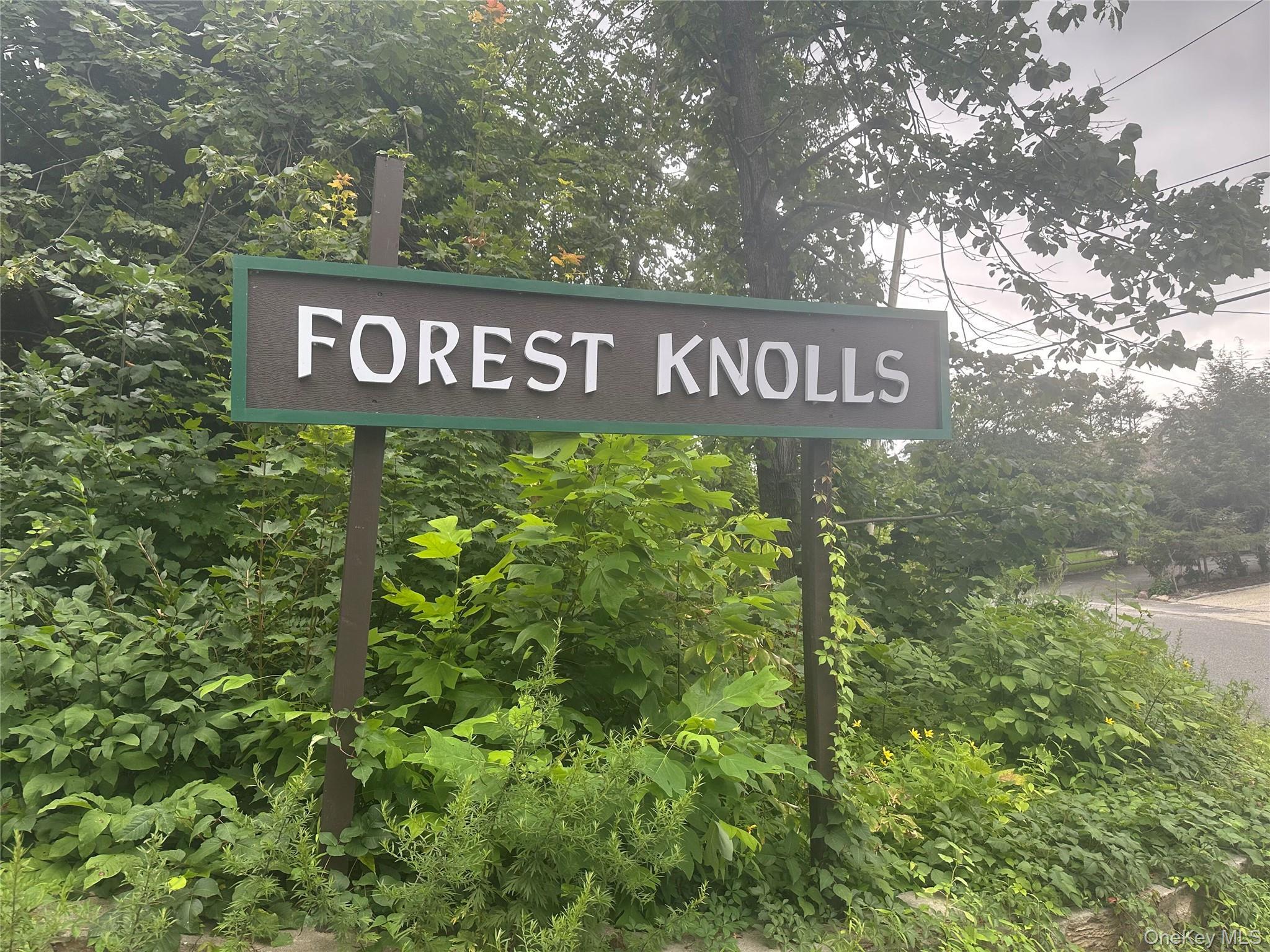 Single Family Woods Road Orange County, NY 10925, MLS-1035473-8