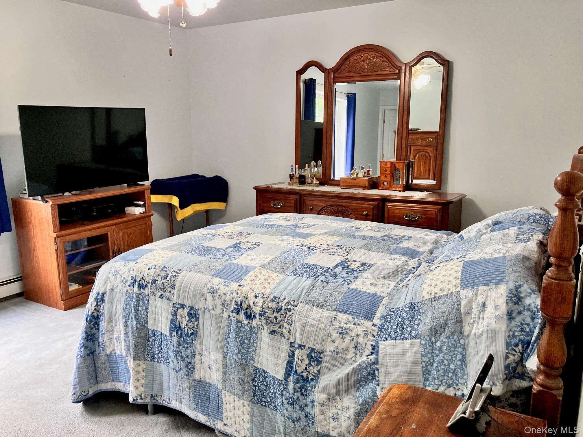 Single Family Carpenter Road Orange County, NY 10958, MLS-1035483-21