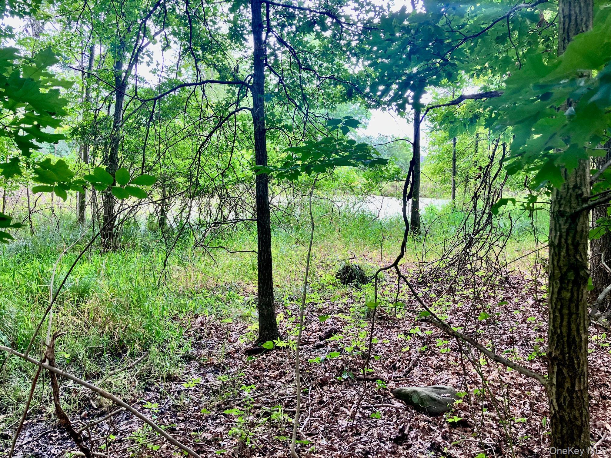 Single Family Carpenter Road Orange County, NY 10958, MLS-1035483-43