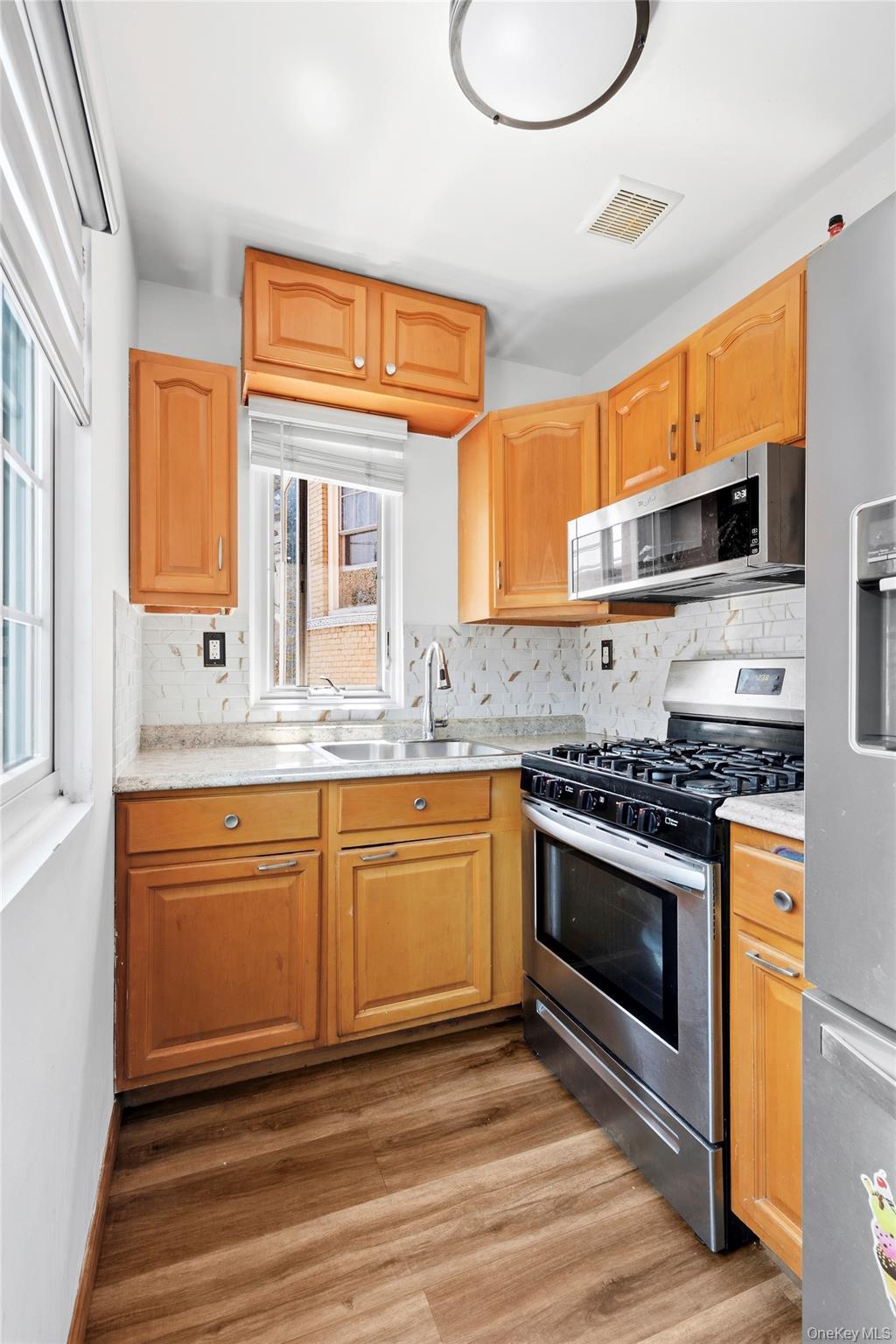 Single Family Crescent Street Brooklyn, NY 11208, MLS-1035496-10
