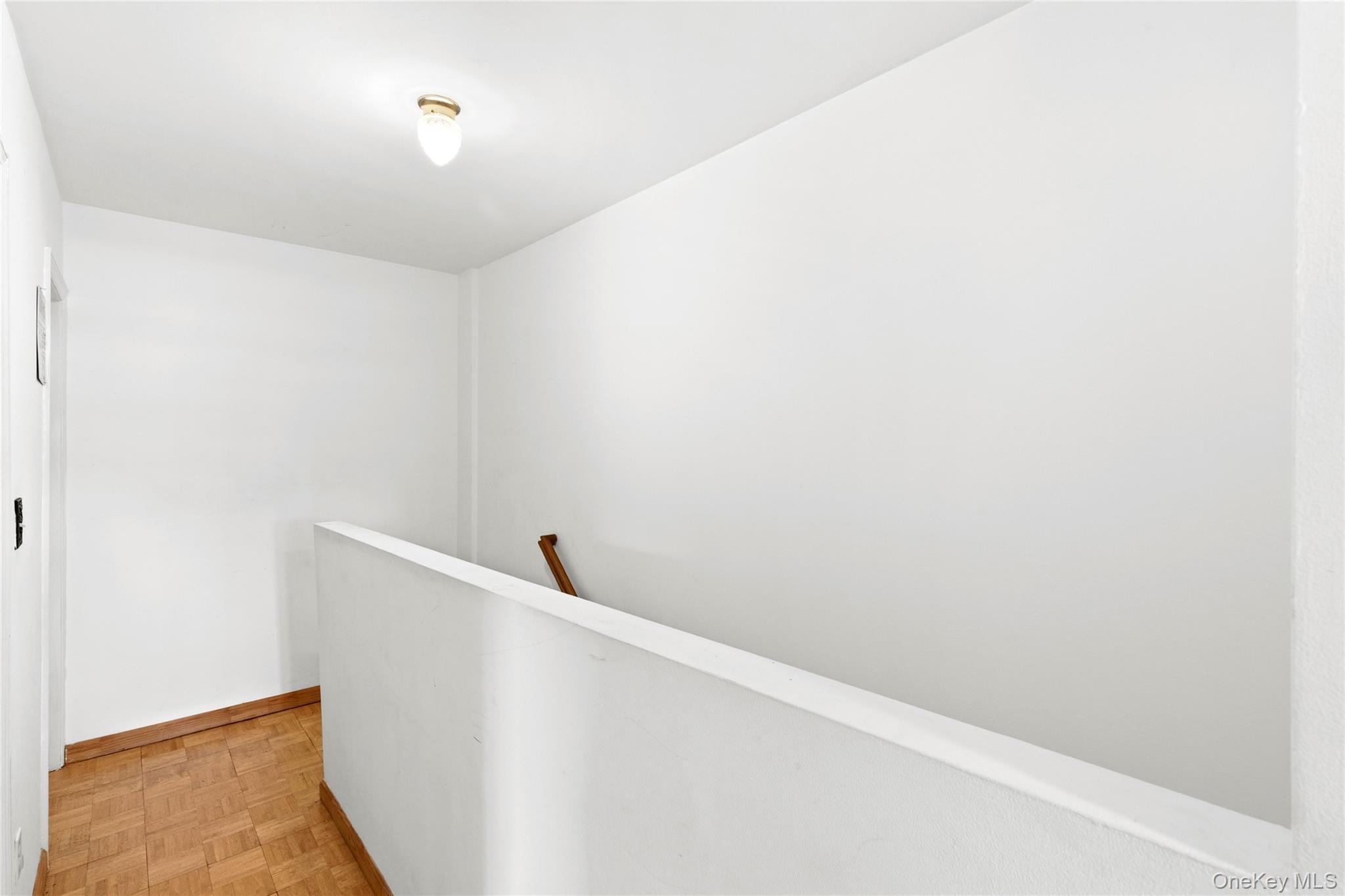 Single Family Crescent Street Brooklyn, NY 11208, MLS-1035496-11