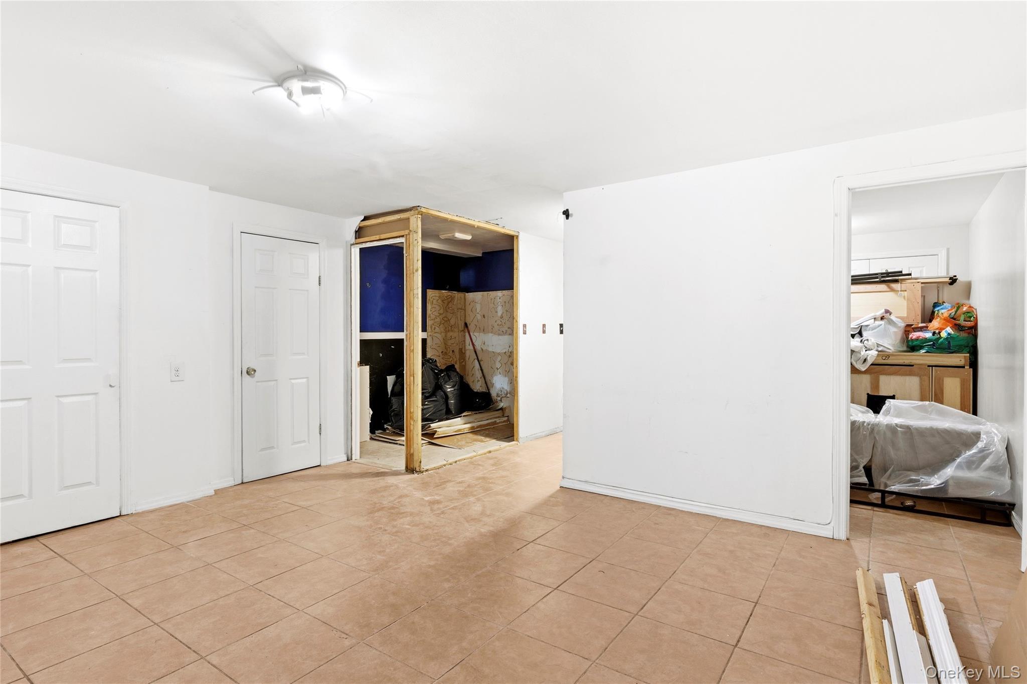 Single Family Crescent Street Brooklyn, NY 11208, MLS-1035496-17