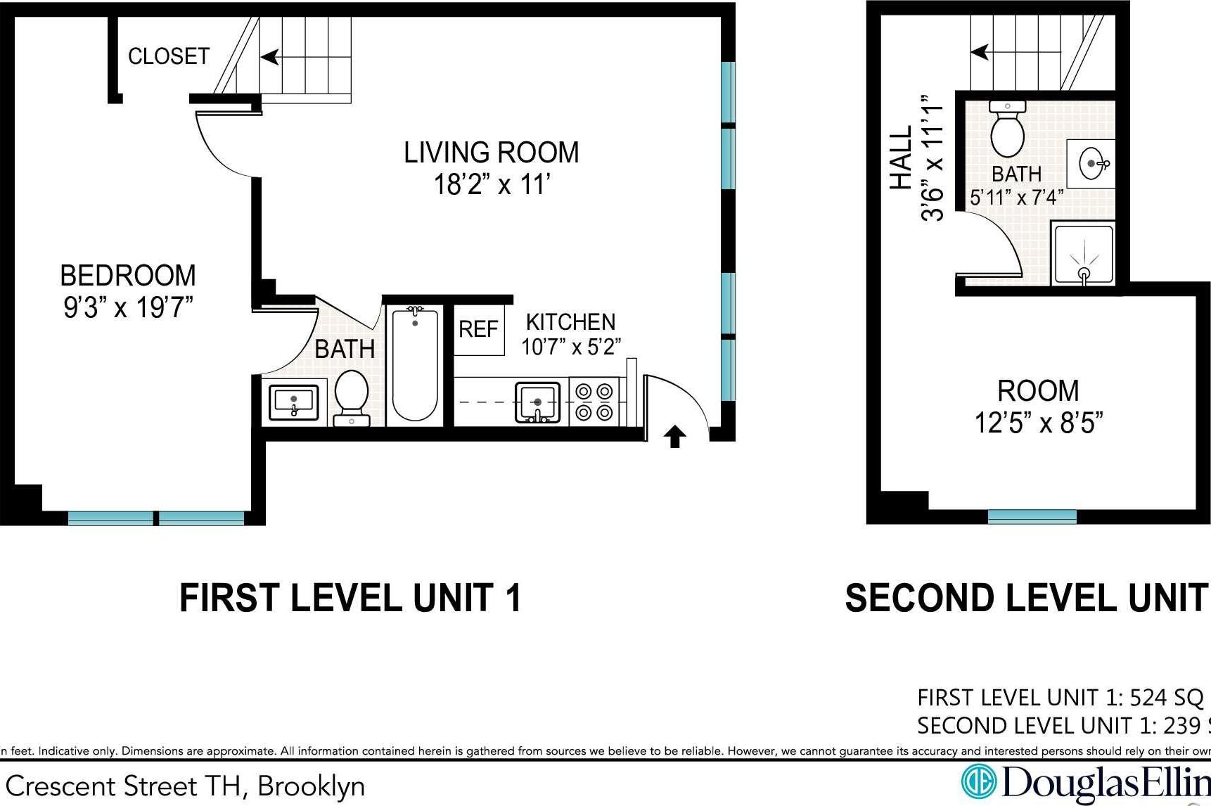 Single Family Crescent Street Brooklyn, NY 11208, MLS-1035496-21