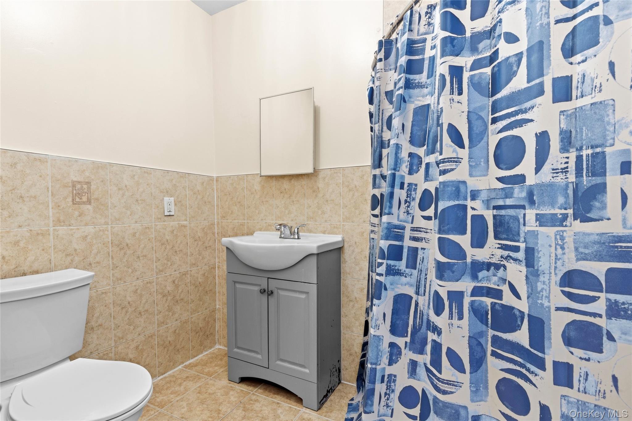 Single Family Crescent Street Brooklyn, NY 11208, MLS-1035496-7