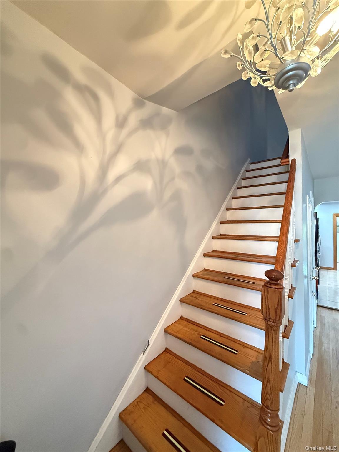 Single Family Lurting Avenue  Bronx, NY 10469, MLS-1035533-10