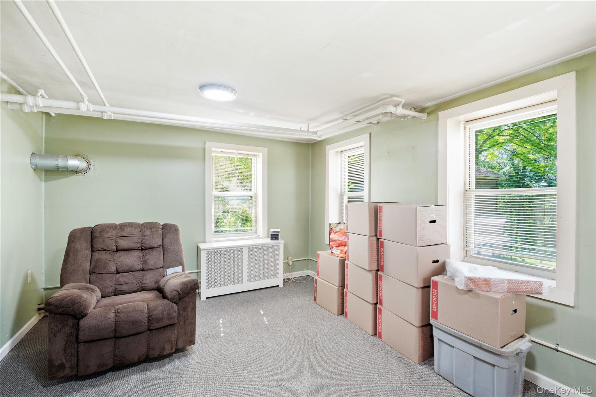 Single Family Washington Avenue Dutchess County, NY 12508, MLS-1035535-17