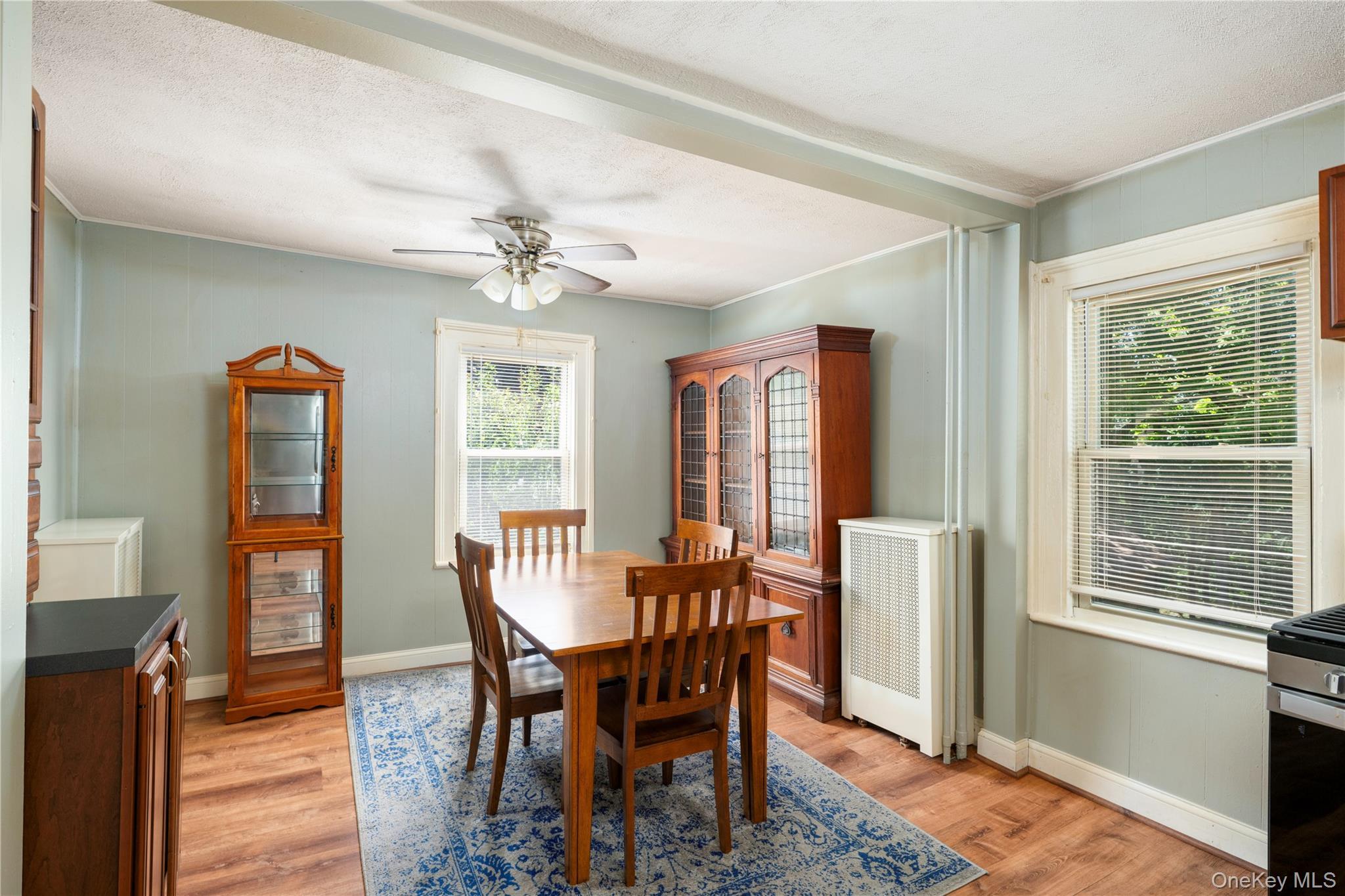Single Family Washington Avenue Dutchess County, NY 12508, MLS-1035535-5