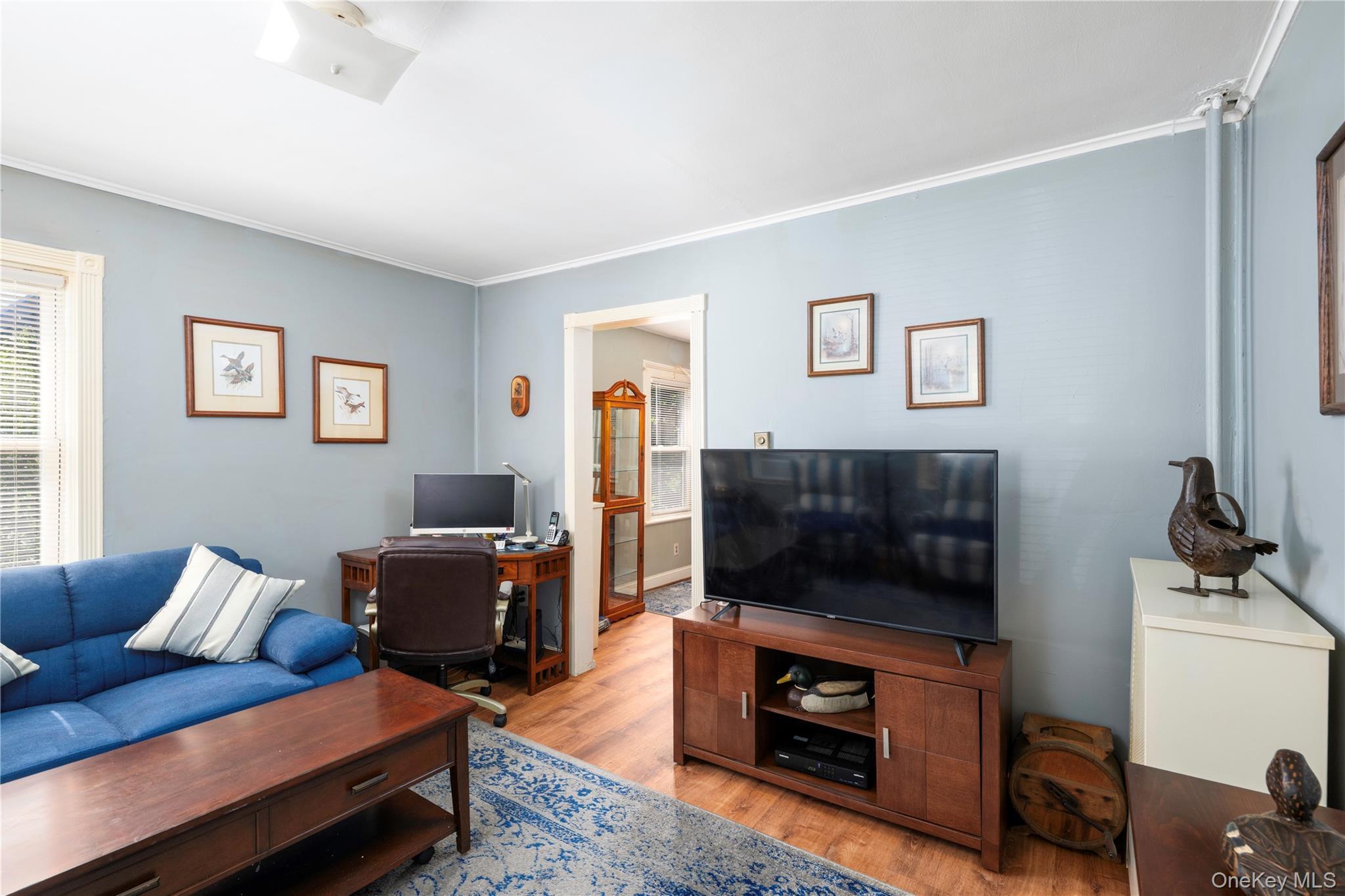 Single Family Washington Avenue Dutchess County, NY 12508, MLS-1035535-8