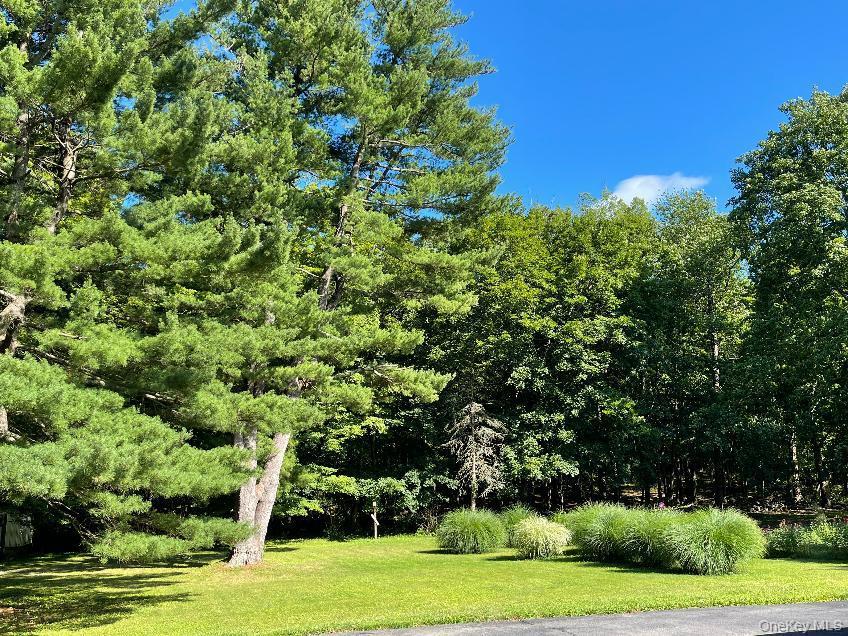 Single Family Route 302  Orange County, NY 10919, MLS-1035543-18
