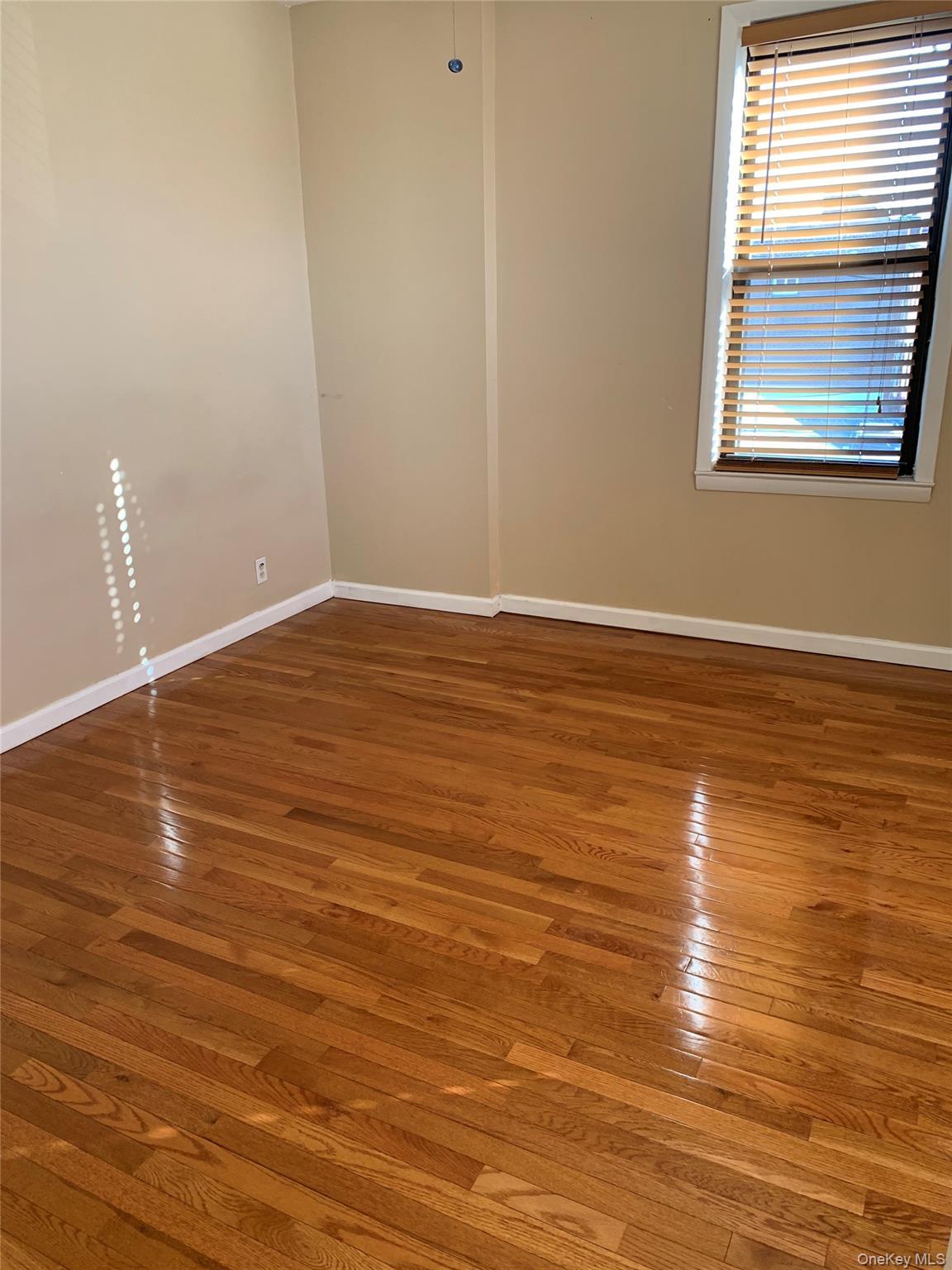 Single Family Paulding Avenue Bronx, NY 10469, MLS-1035550-19