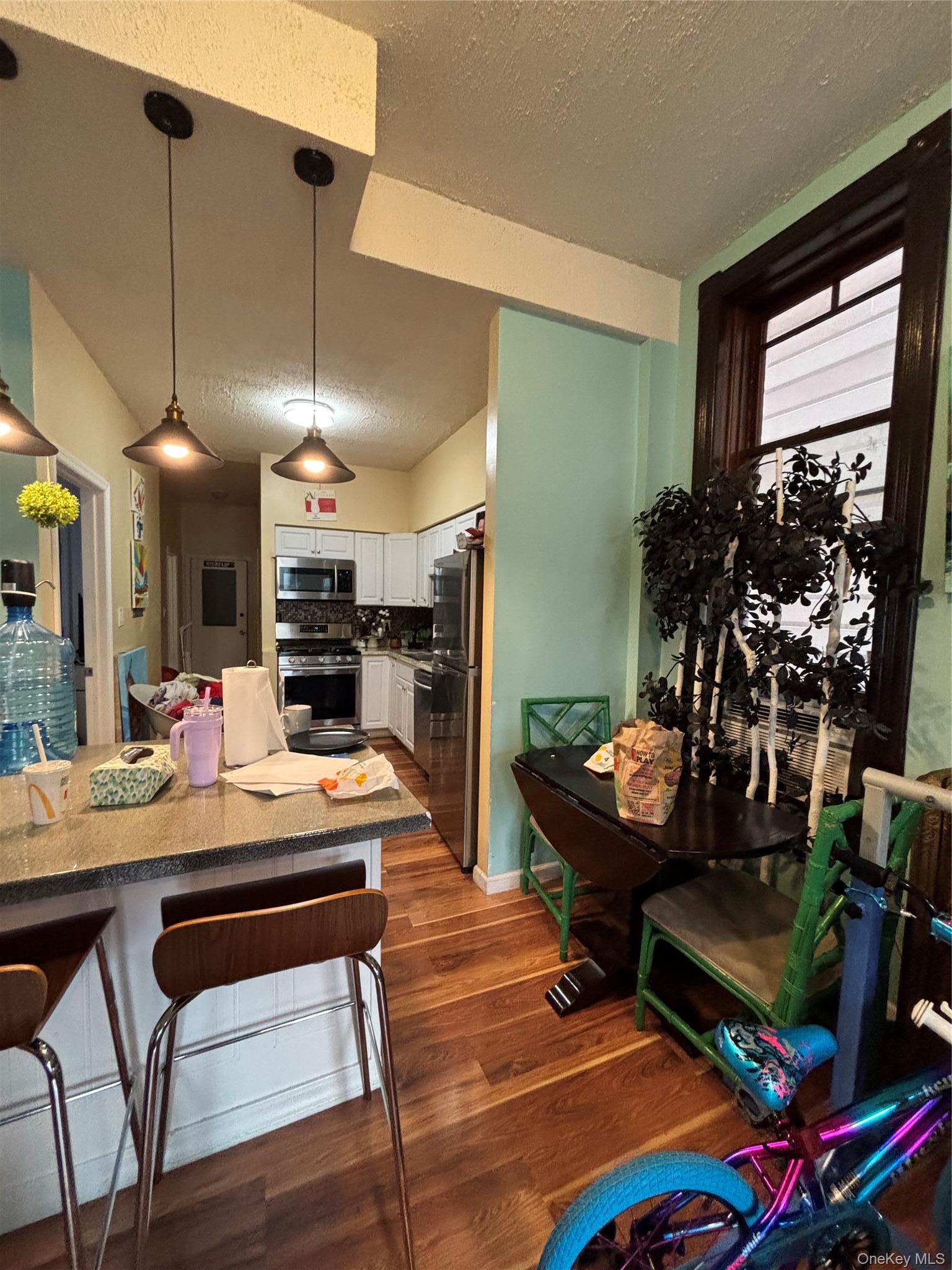 Single Family Clinton Avenue  Albany County, NY 12210, MLS-1035553-15