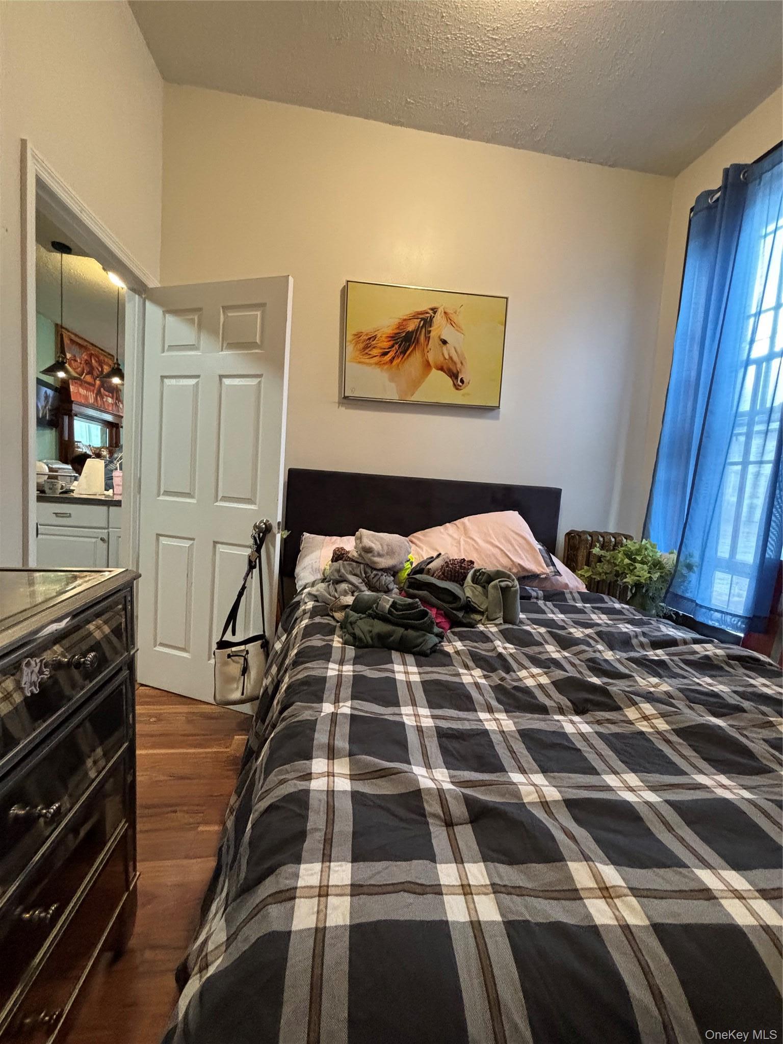 Single Family Clinton Avenue  Albany County, NY 12210, MLS-1035553-17