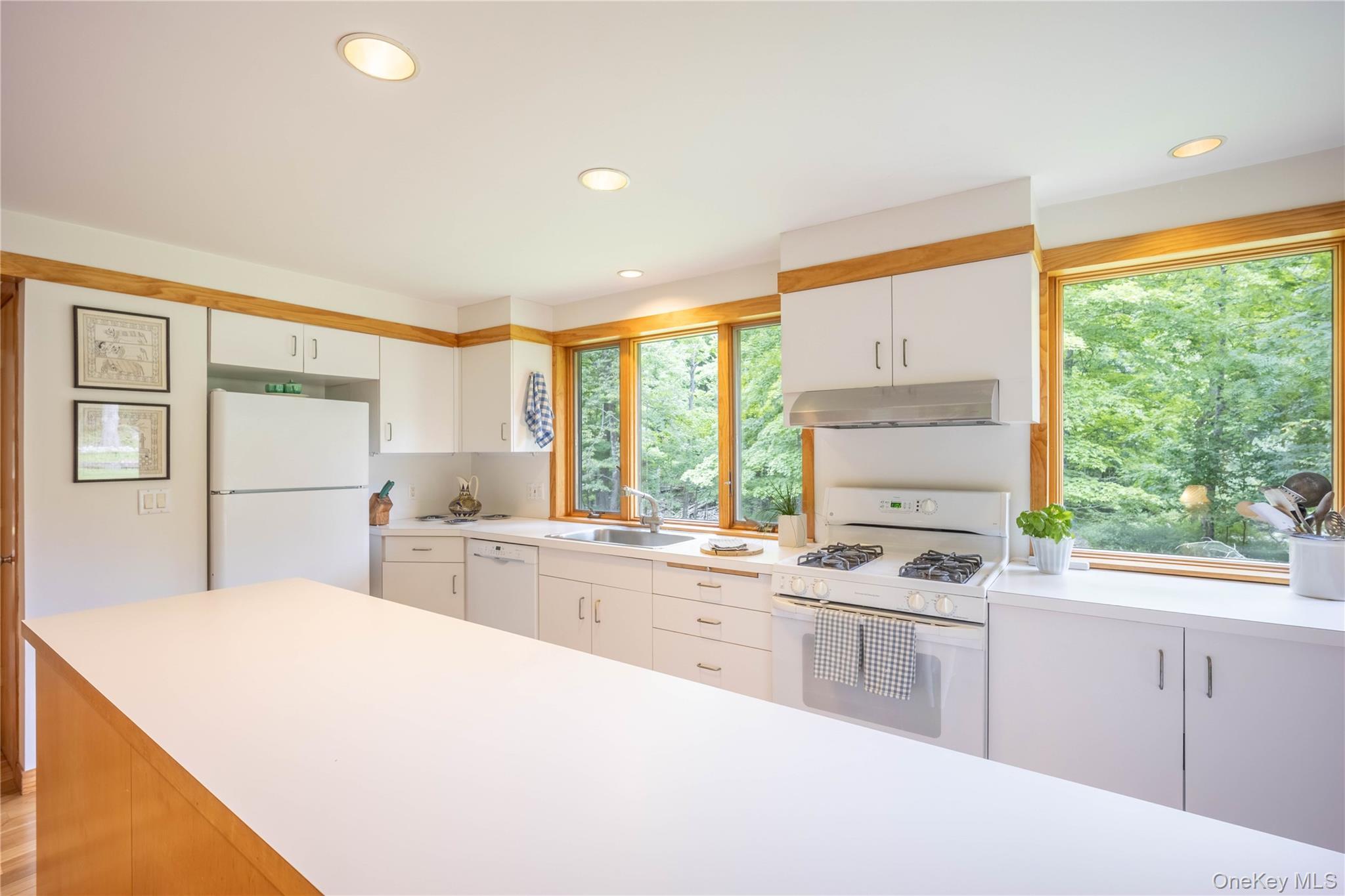 Single Family Camp Ridge Road  Ulster County, NY 12589, MLS-1035600-4