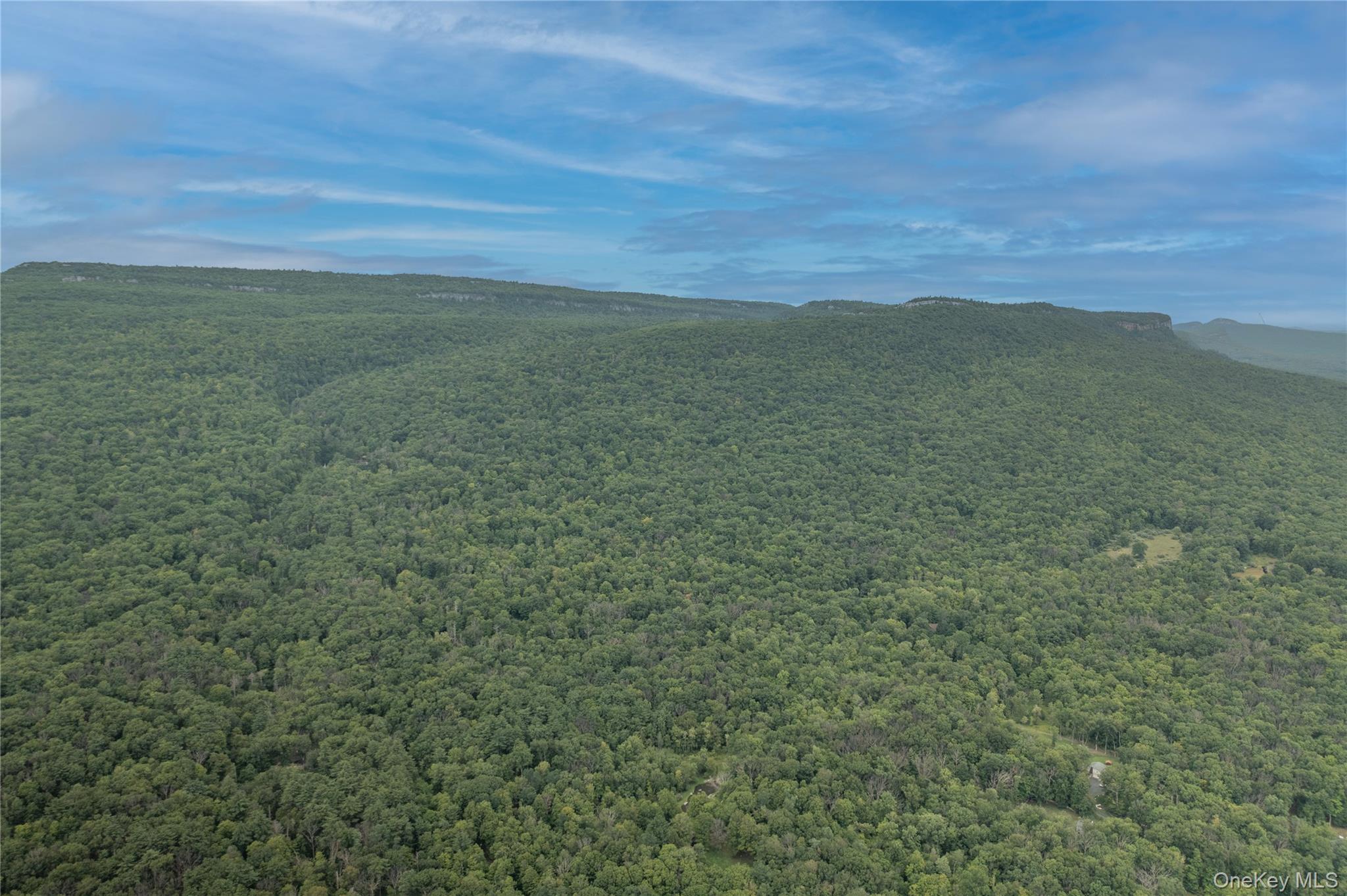 Single Family Camp Ridge Road  Ulster County, NY 12589, MLS-1035600-45