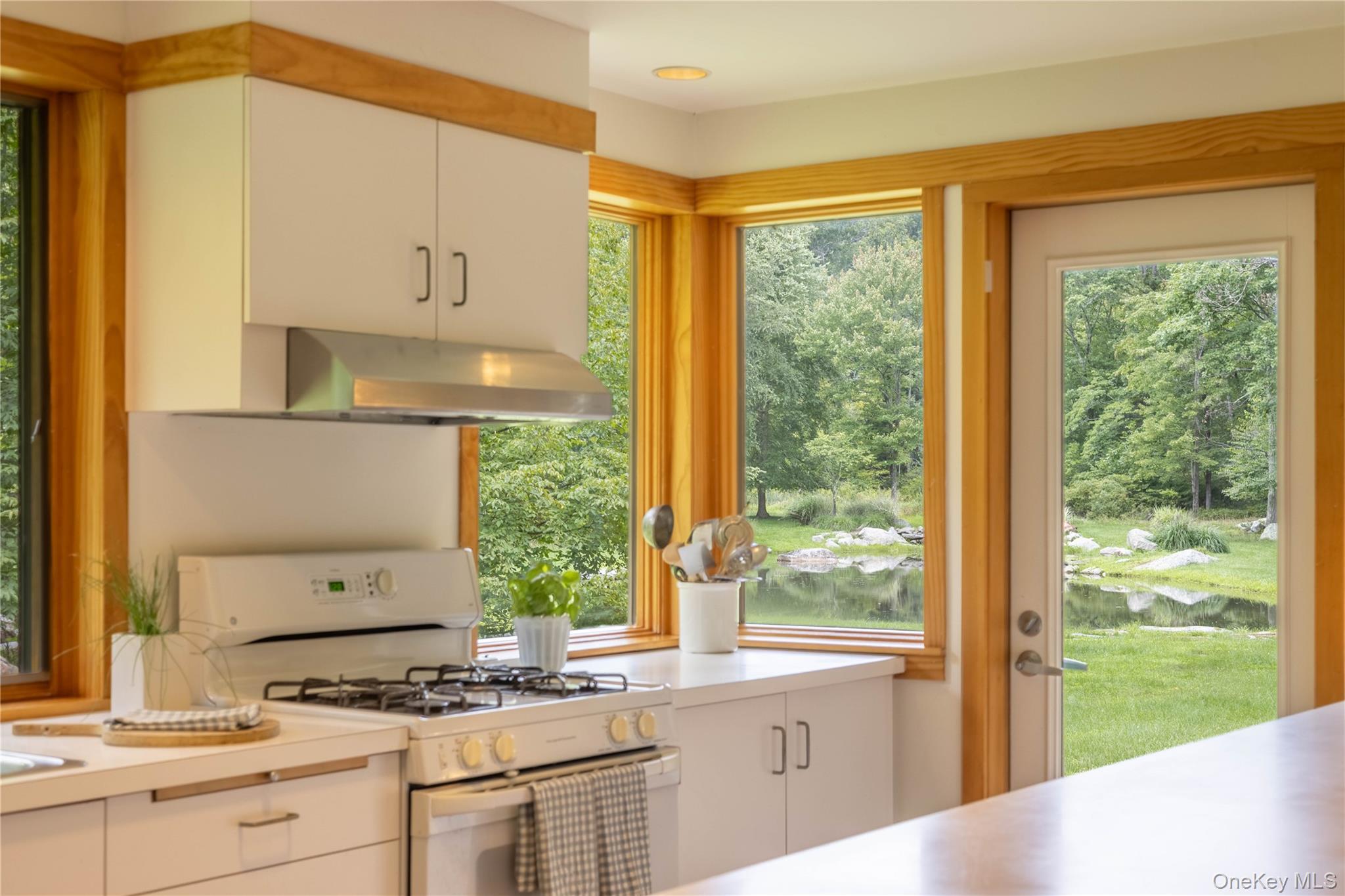 Single Family Camp Ridge Road  Ulster County, NY 12589, MLS-1035600-5
