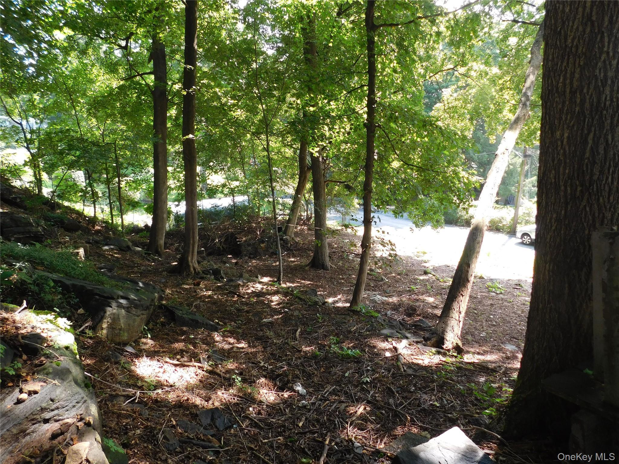 Single Family Sycamore Terrace Putnam County, NY 10541, MLS-1035644-3