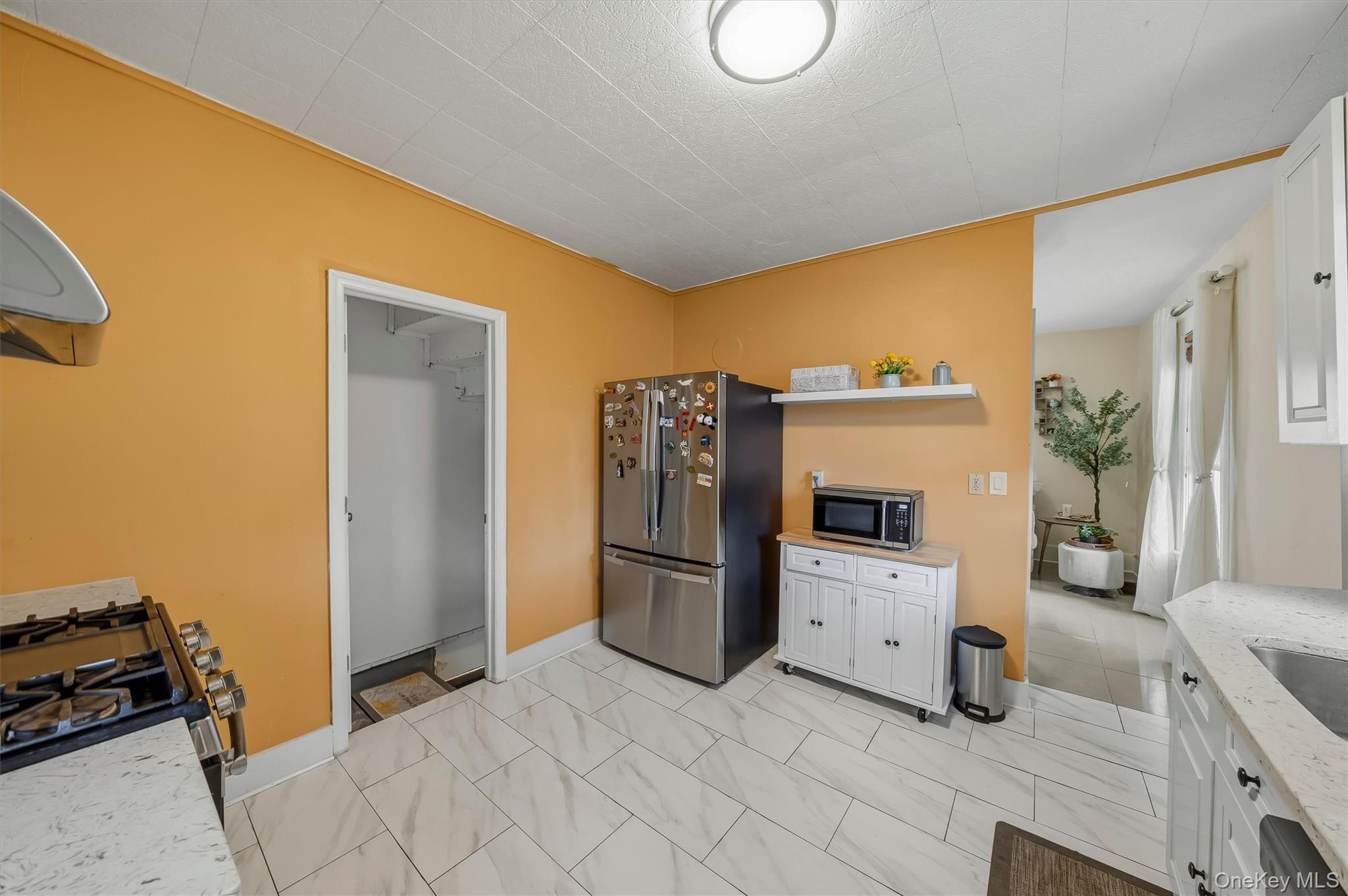 Single Family Harrison Street  Orange County, NY 10940, MLS-1035684-24