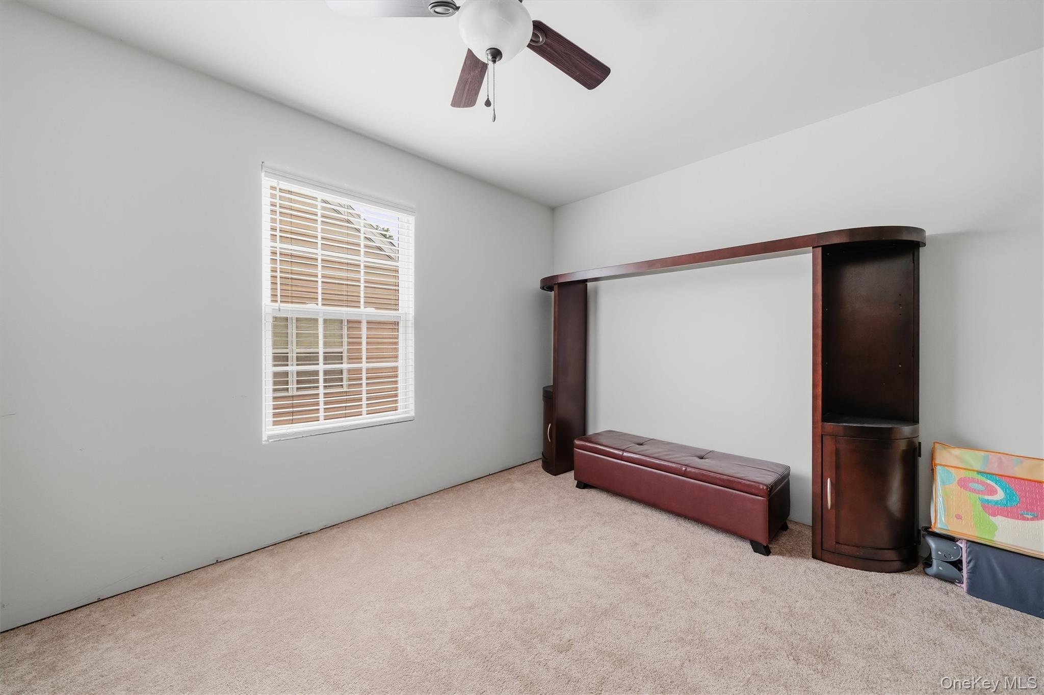 Single Family Jasmine Drive Orange County, NY 10940, MLS-1035731-23