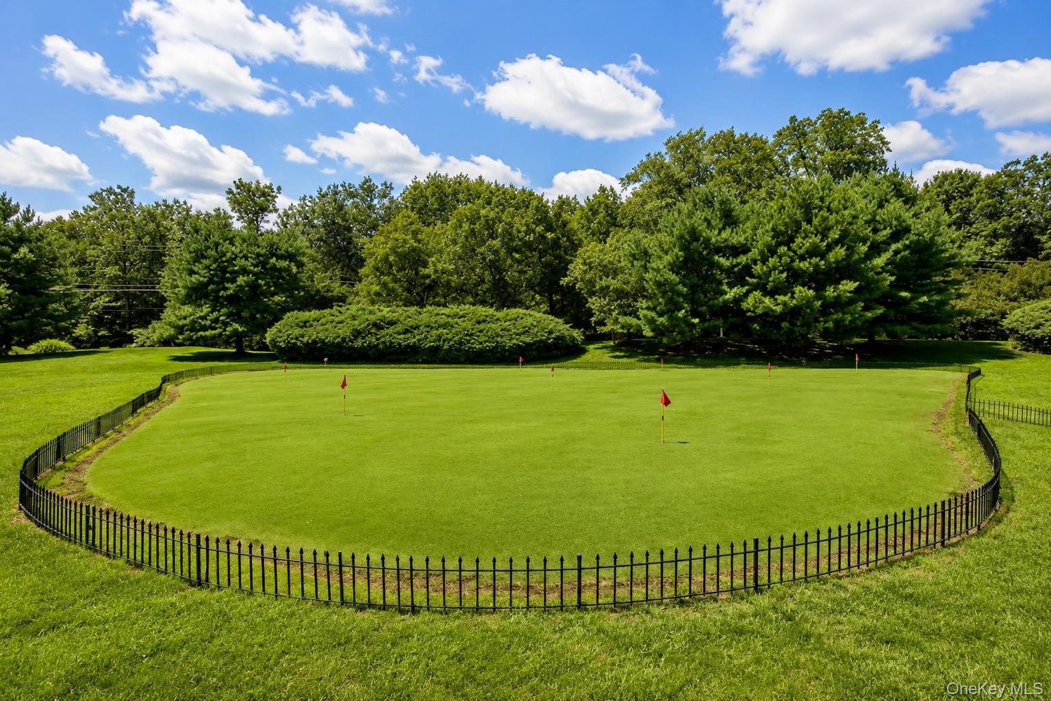 Single Family Jasmine Drive  Orange County, NY 10940, MLS-1035731-39