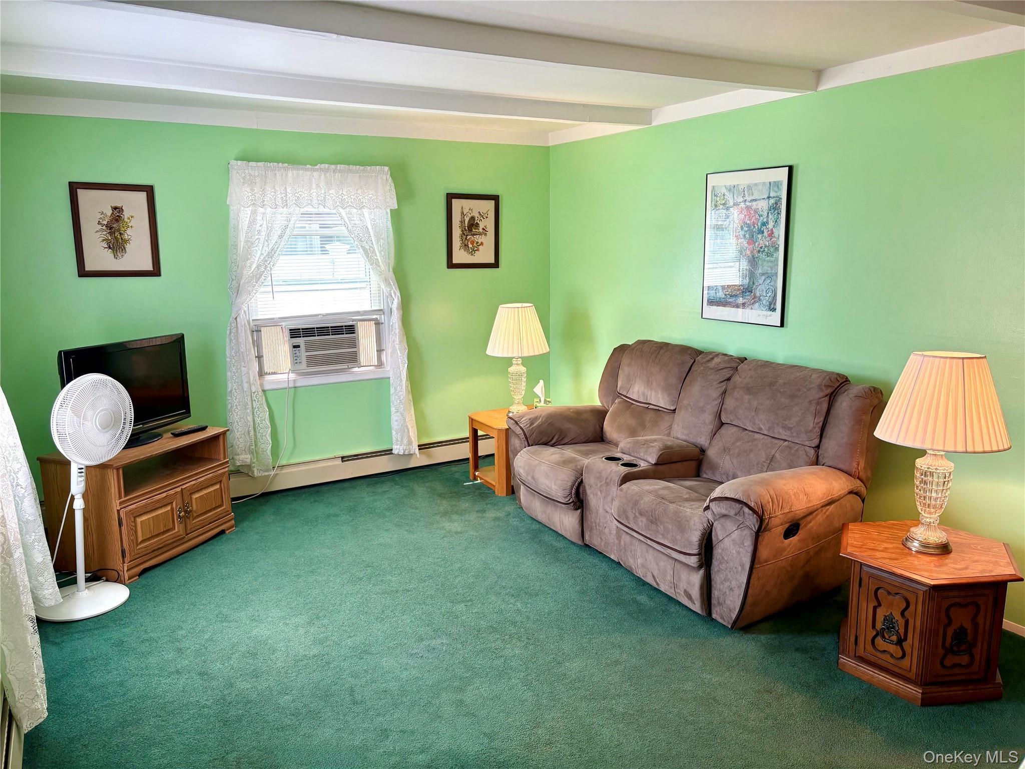 Single Family Heather Lane Nassau County, NY 11756, MLS-1035768-3