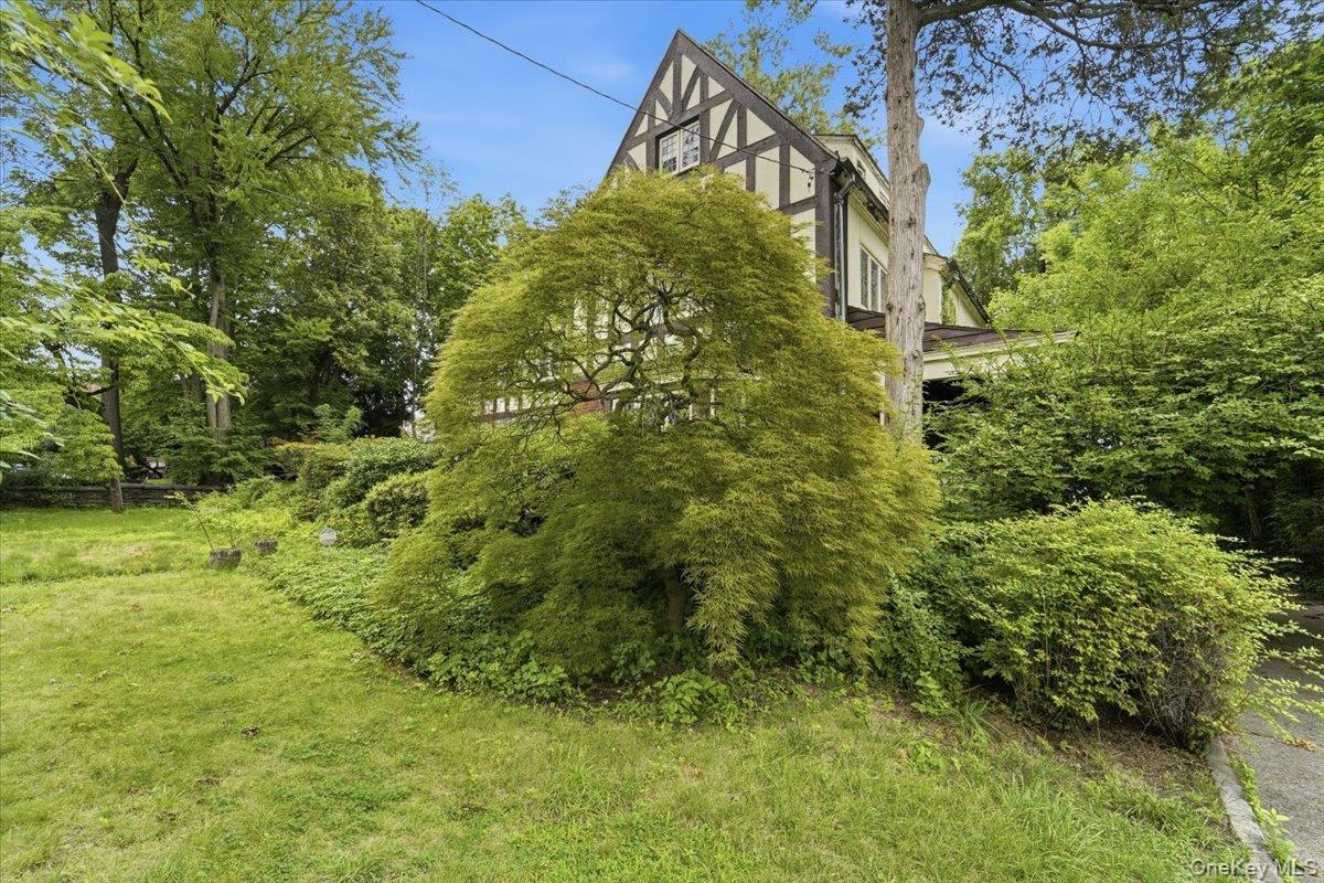 Single Family Esplanade Westchester County, NY 10553, MLS-1035819-4