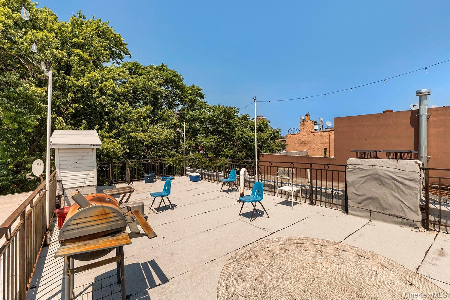 Single Family Lafayette Avenue  Brooklyn, NY 11221, MLS-1035875-3