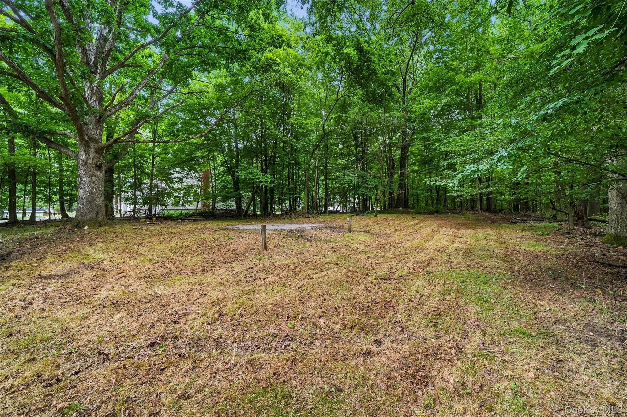 Single Family S Plank Road Orange County, NY 10973, MLS-1035881-8