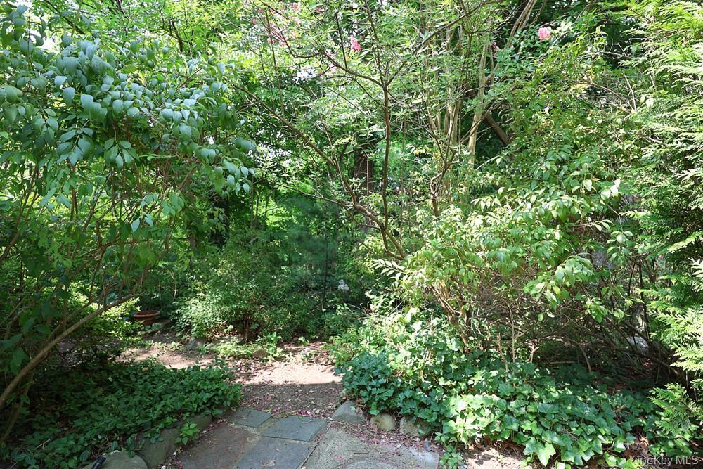 Single Family Somerset Street Queens, NY 11432, MLS-1035895-22