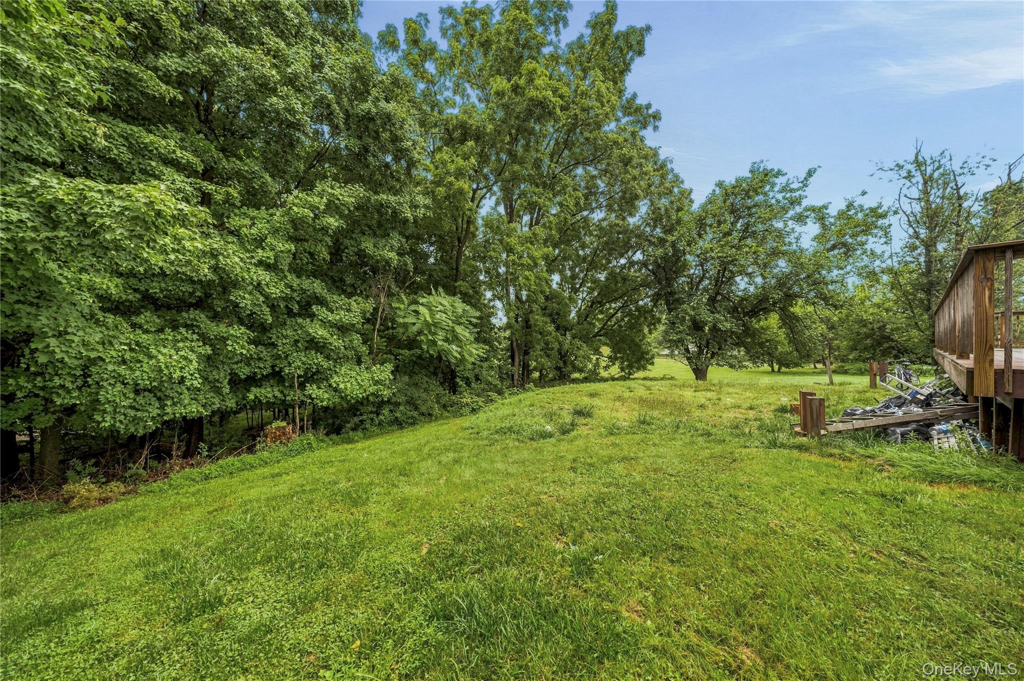 Single Family Veteran Circle Orange County, NY 10950, MLS-1035897-41