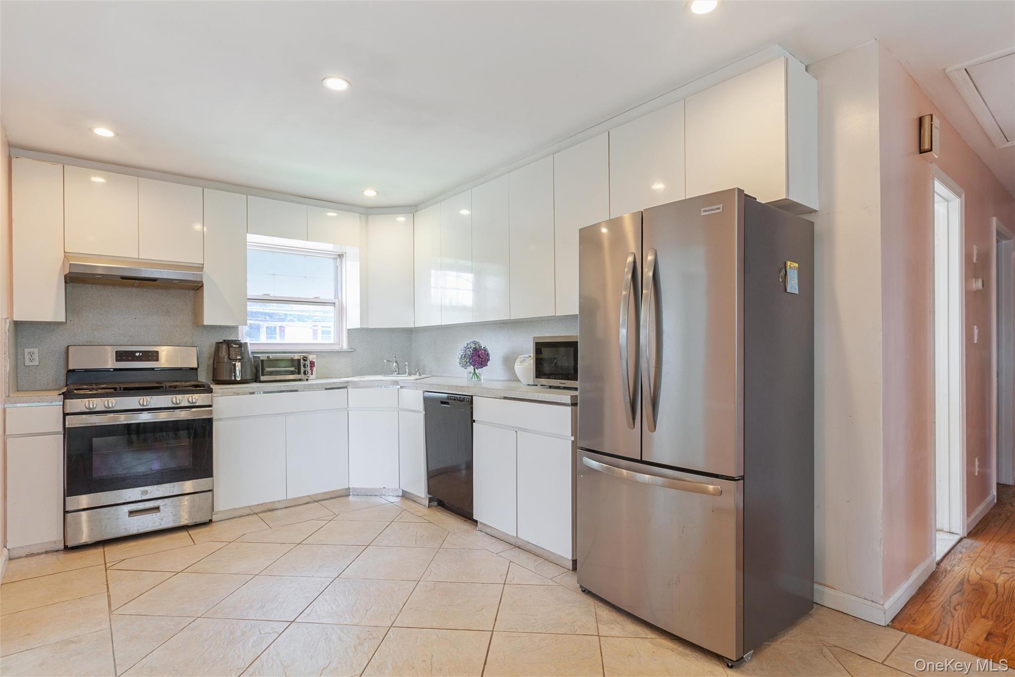 Single Family Wilson Street Nassau County, NY 11518, MLS-1035906-10