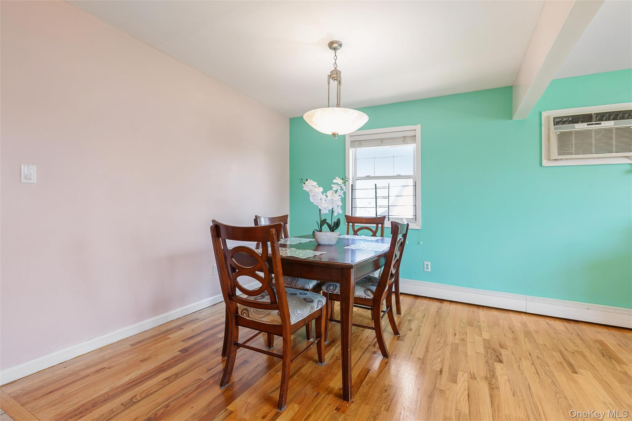 Single Family Wilson Street Nassau County, NY 11518, MLS-1035906-12