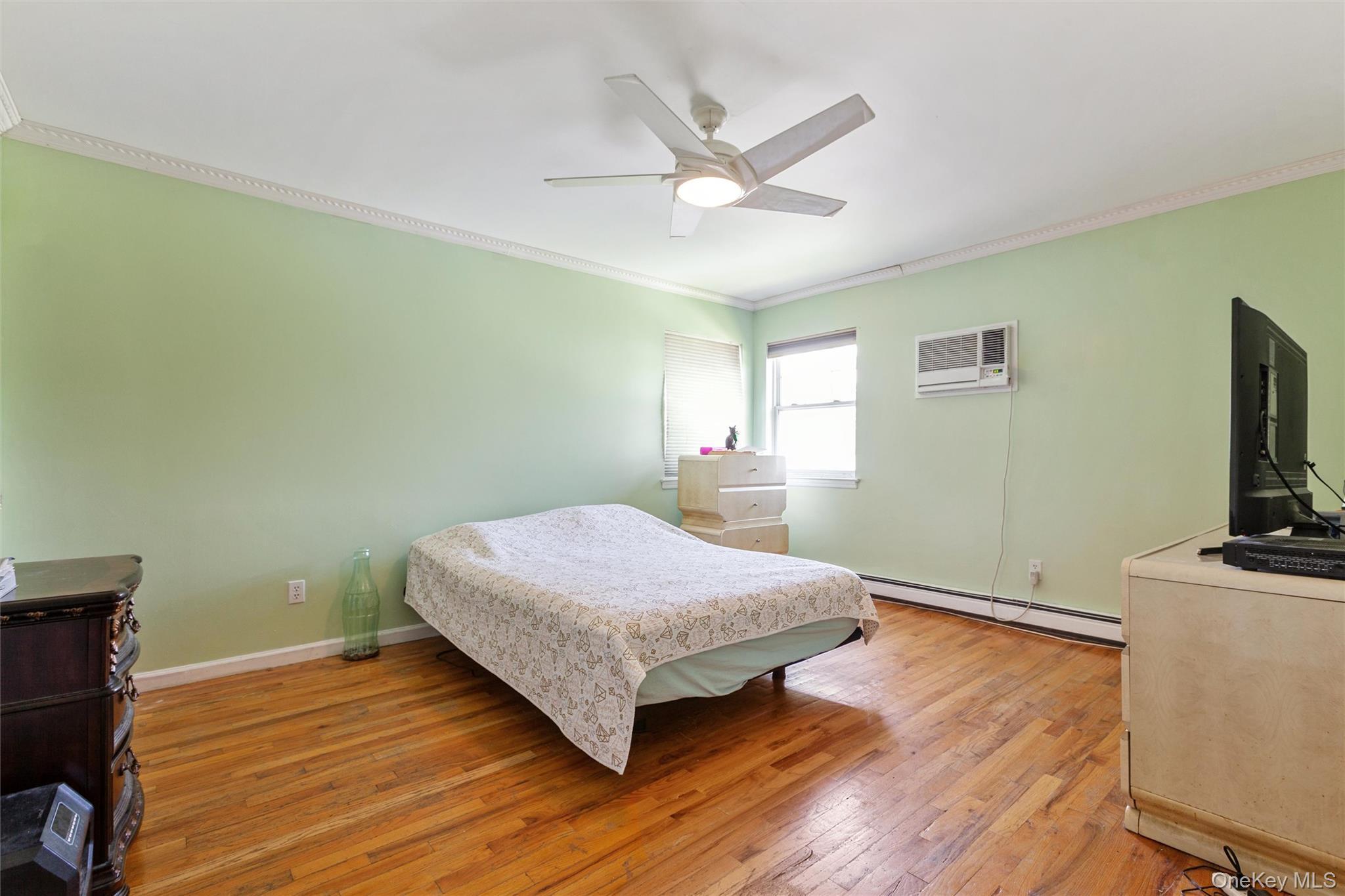 Single Family Wilson Street Nassau County, NY 11518, MLS-1035906-13