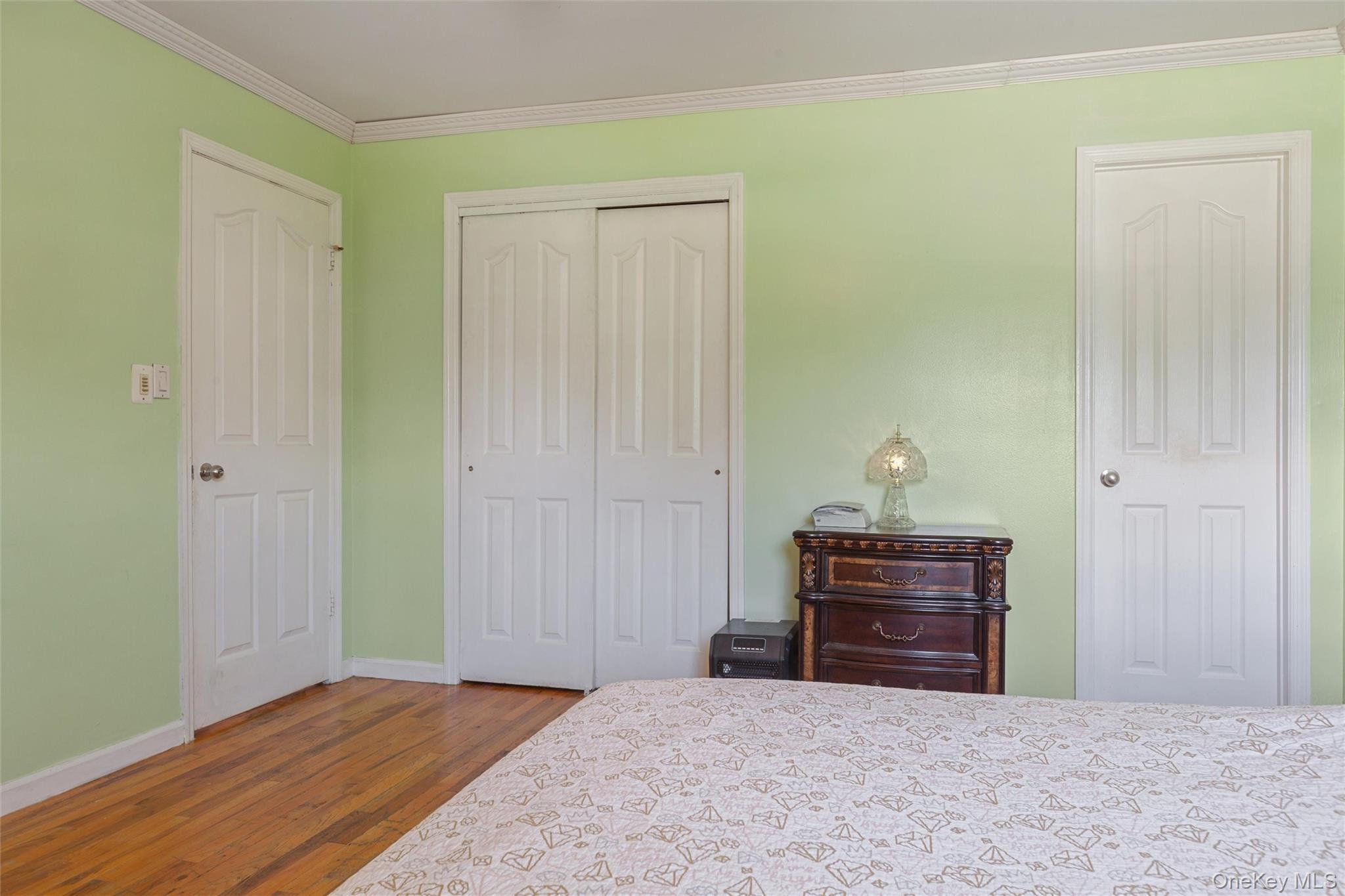 Single Family Wilson Street Nassau County, NY 11518, MLS-1035906-14