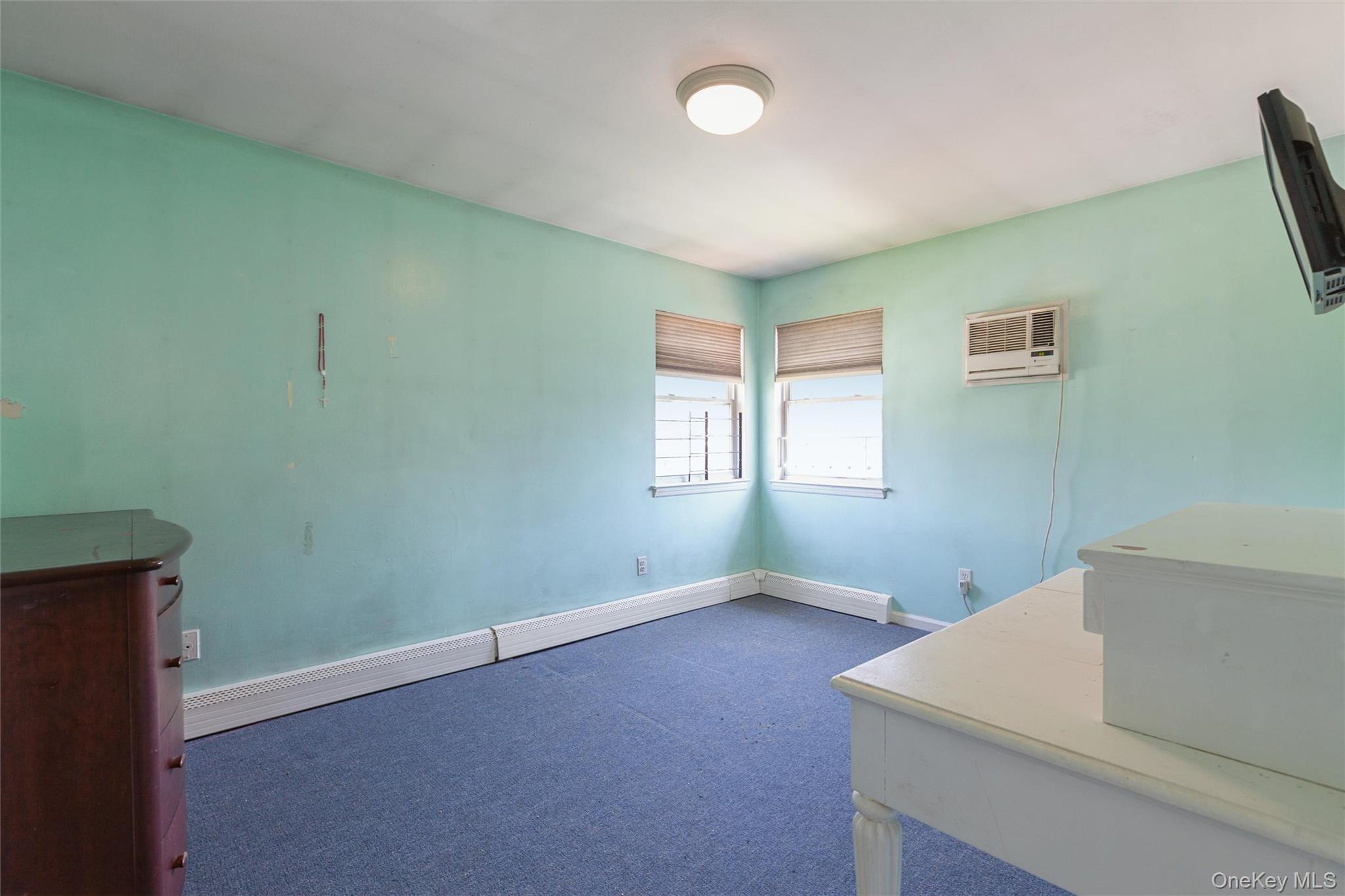 Single Family Wilson Street Nassau County, NY 11518, MLS-1035906-16