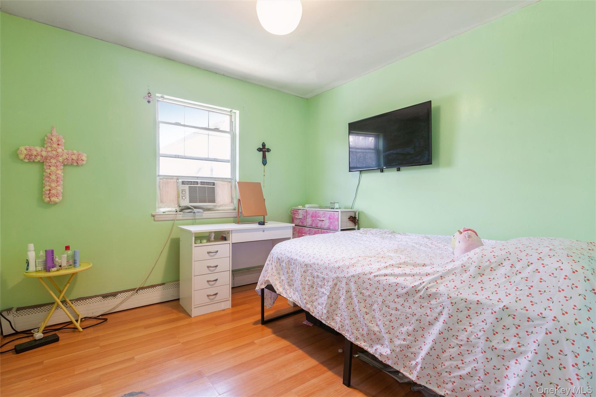 Single Family Wilson Street Nassau County, NY 11518, MLS-1035906-17