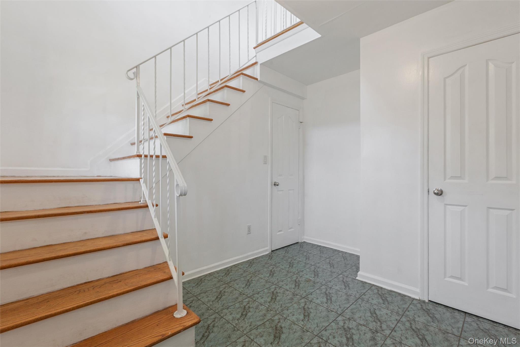 Single Family Wilson Street Nassau County, NY 11518, MLS-1035906-18