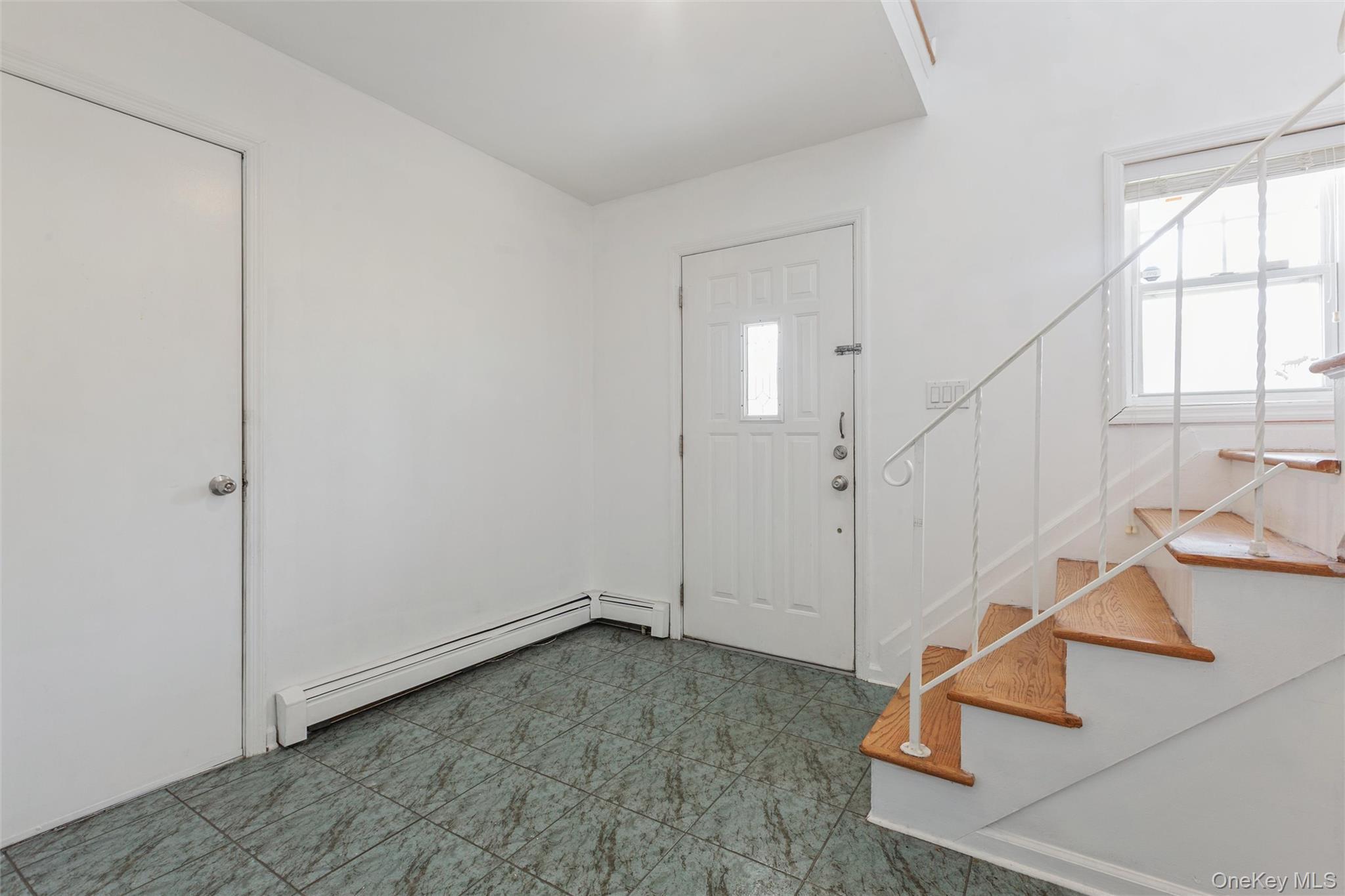 Single Family Wilson Street Nassau County, NY 11518, MLS-1035906-19
