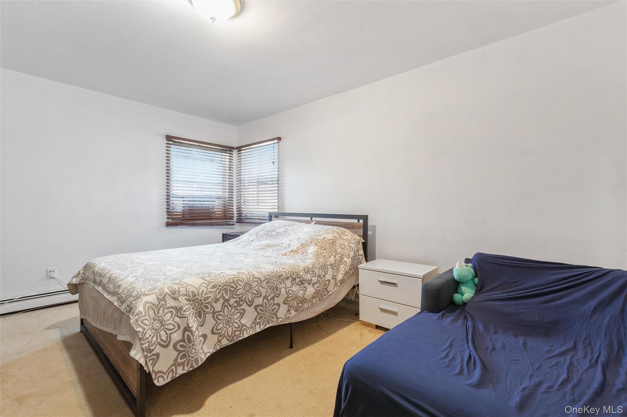 Single Family Wilson Street Nassau County, NY 11518, MLS-1035906-21