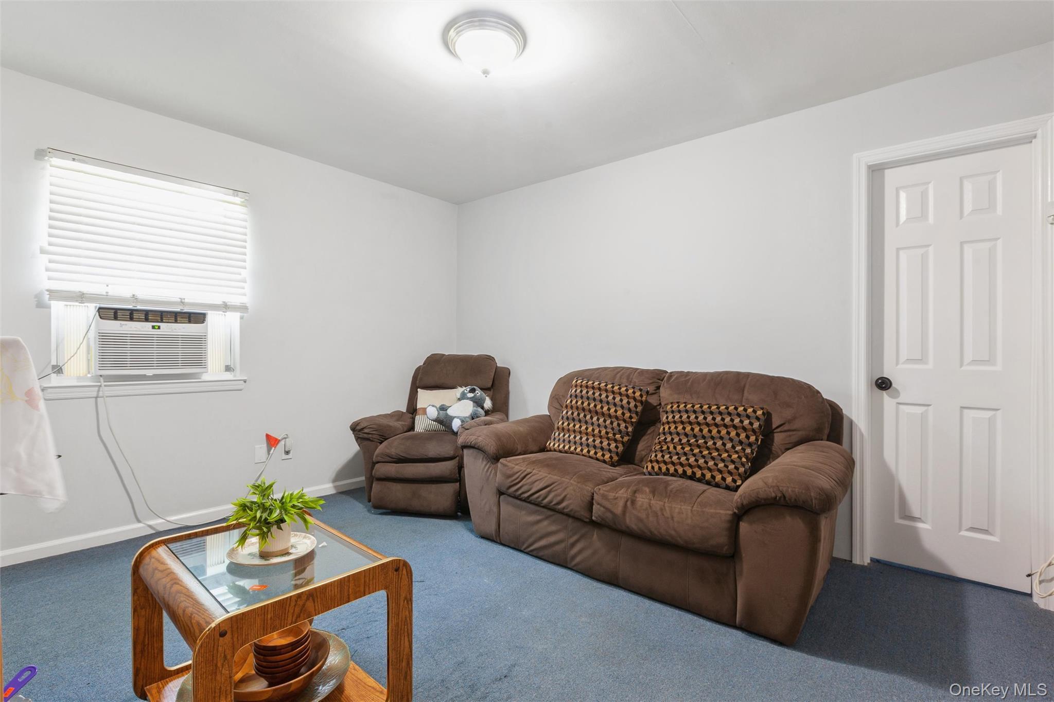 Single Family Wilson Street Nassau County, NY 11518, MLS-1035906-22