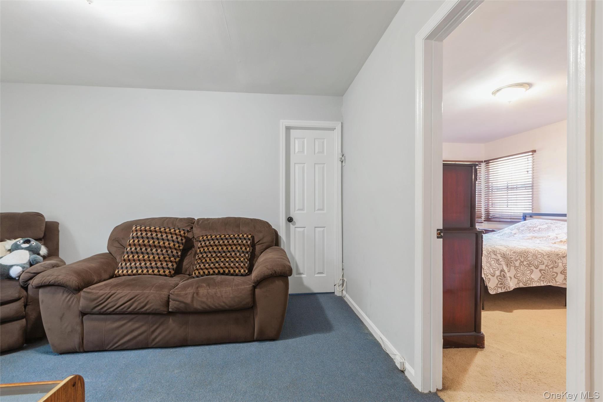 Single Family Wilson Street Nassau County, NY 11518, MLS-1035906-23