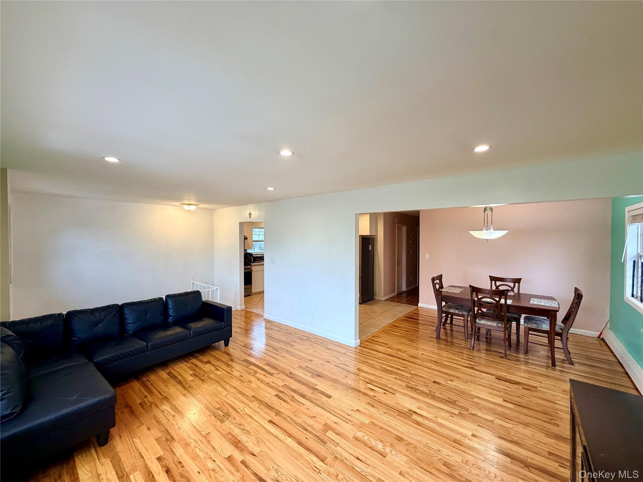Single Family Wilson Street Nassau County, NY 11518, MLS-1035906-6