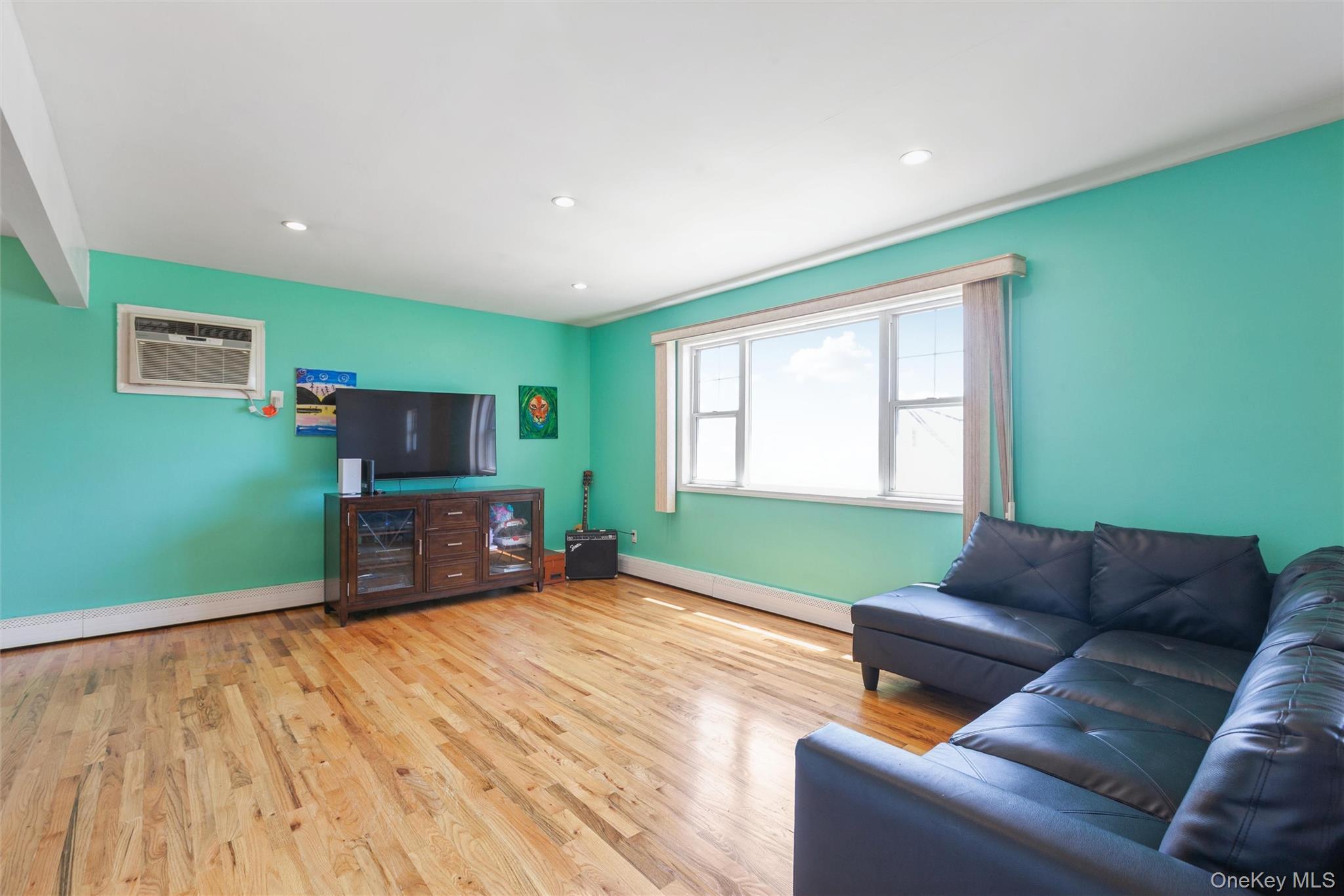 Single Family Wilson Street Nassau County, NY 11518, MLS-1035906-7